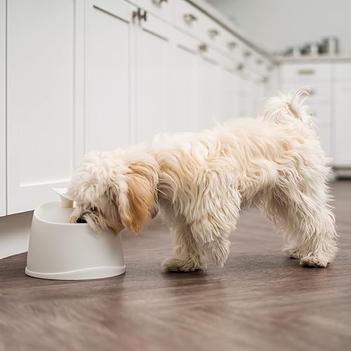 Miniatura 5 de IRIS Fuente de agua para gatos de EE. UU., 44 onzas / 1.3 L, boquilla para gatito, cuenco de agua para fuente de perro, filtro de carbón silencioso