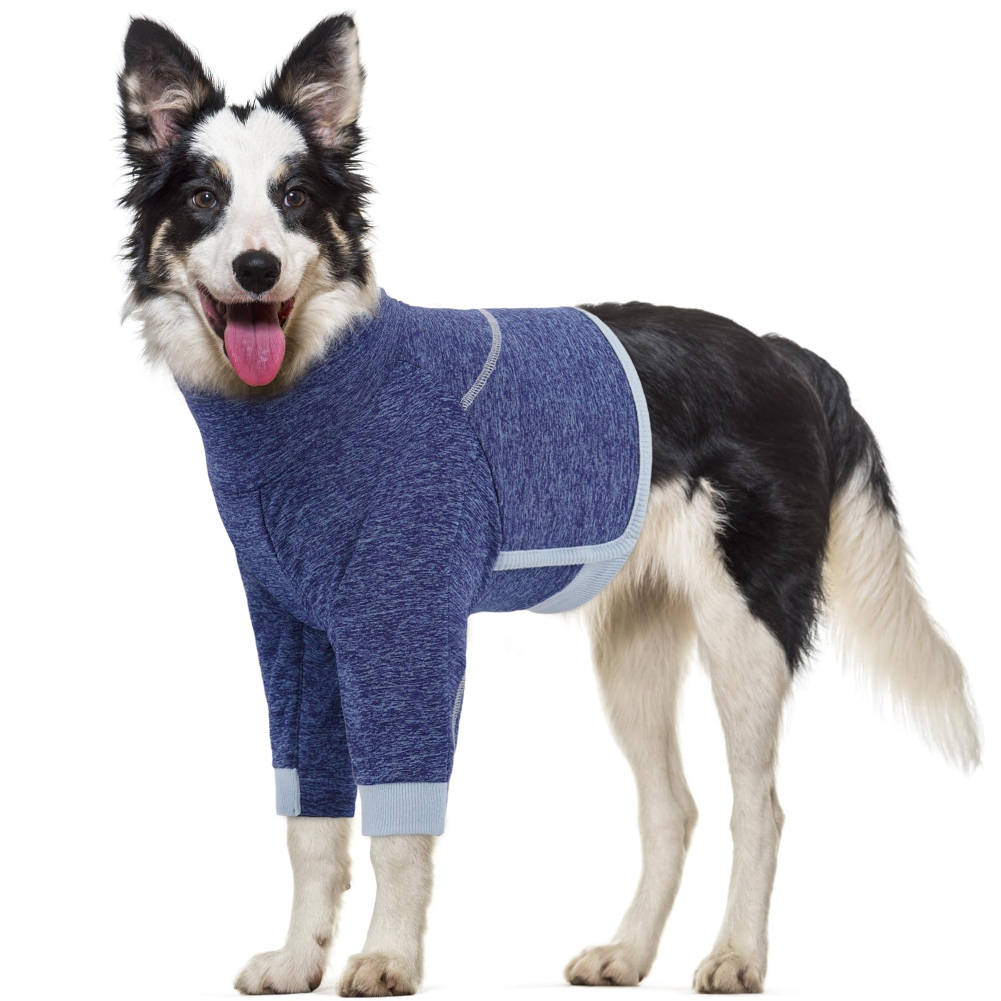 Gilet de convalescence pour chien idéal pour le repos à la maison après son opération
