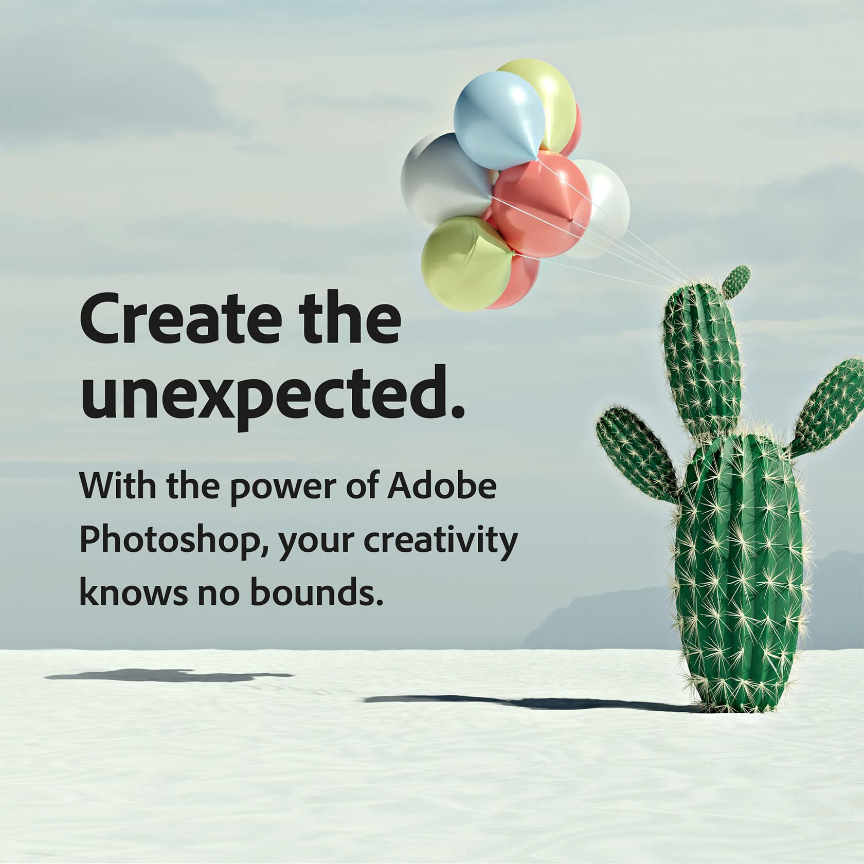 Adobe Creative Cloud Photography Plan 12 Monate Subscription 1 Gerät PC/Mac Download