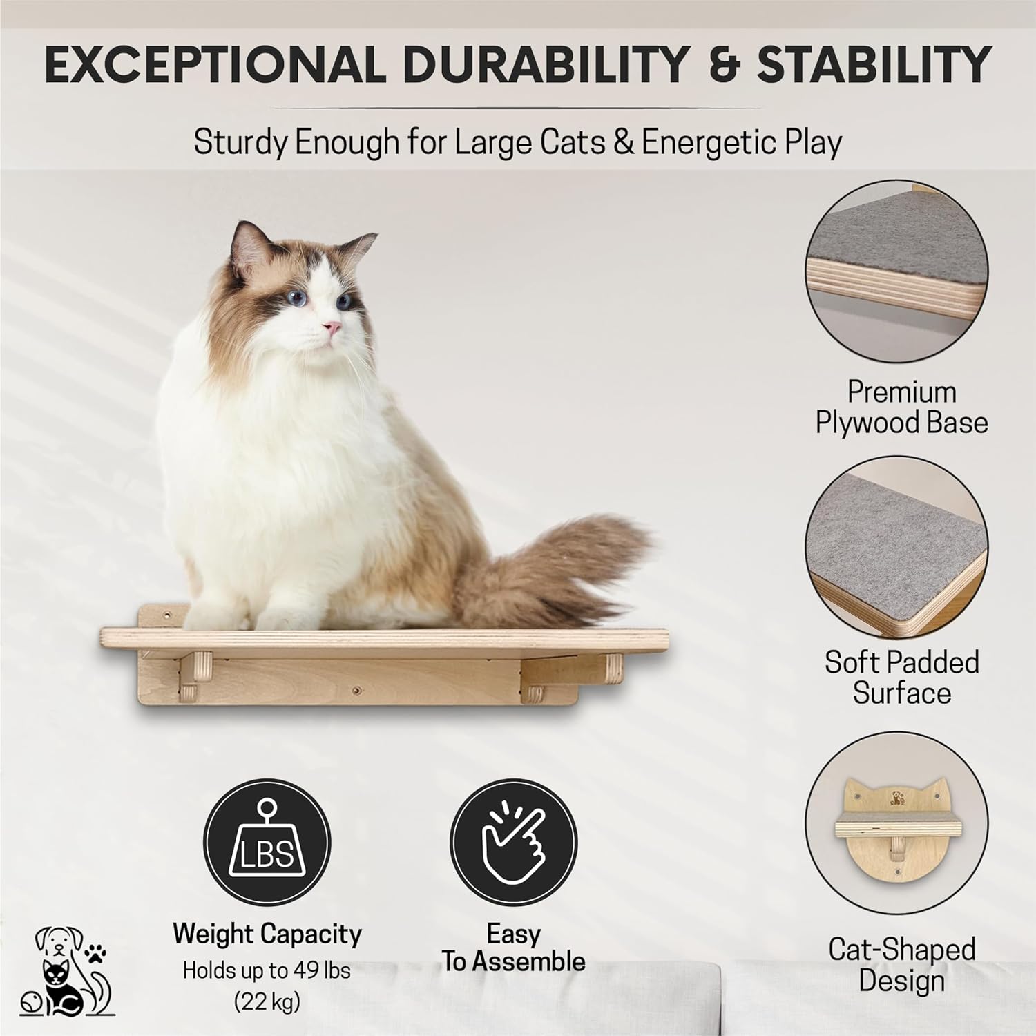 Snuggle & Play Cat Wall Shelves & Climbing System – Modern Furniture Set with 3 Steps & Perch for Indoor Cats, Includes Wand Toy