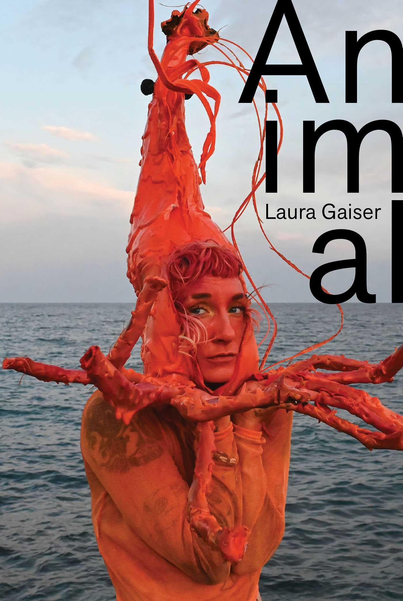 Livre Animal : Laura Gaiser – Monographie d'art contemporain