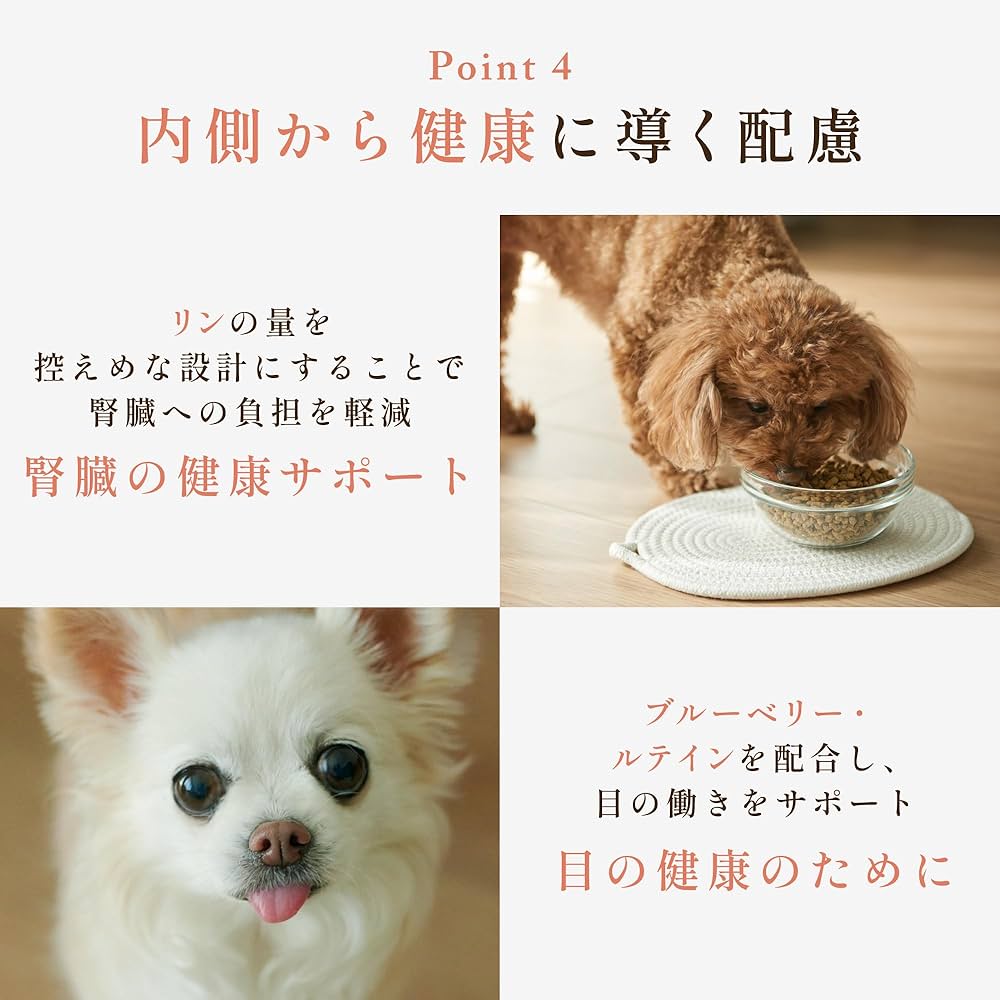 Amazon.co.jp: ［獣医師共同開発］犬猫生活 ドッグフード シニア
