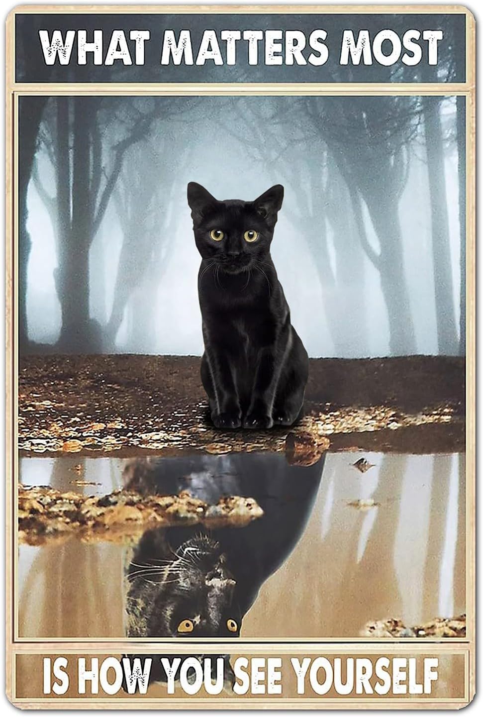 Bestylez Funny Black Cat Signs Cat Pictures Cat Poster