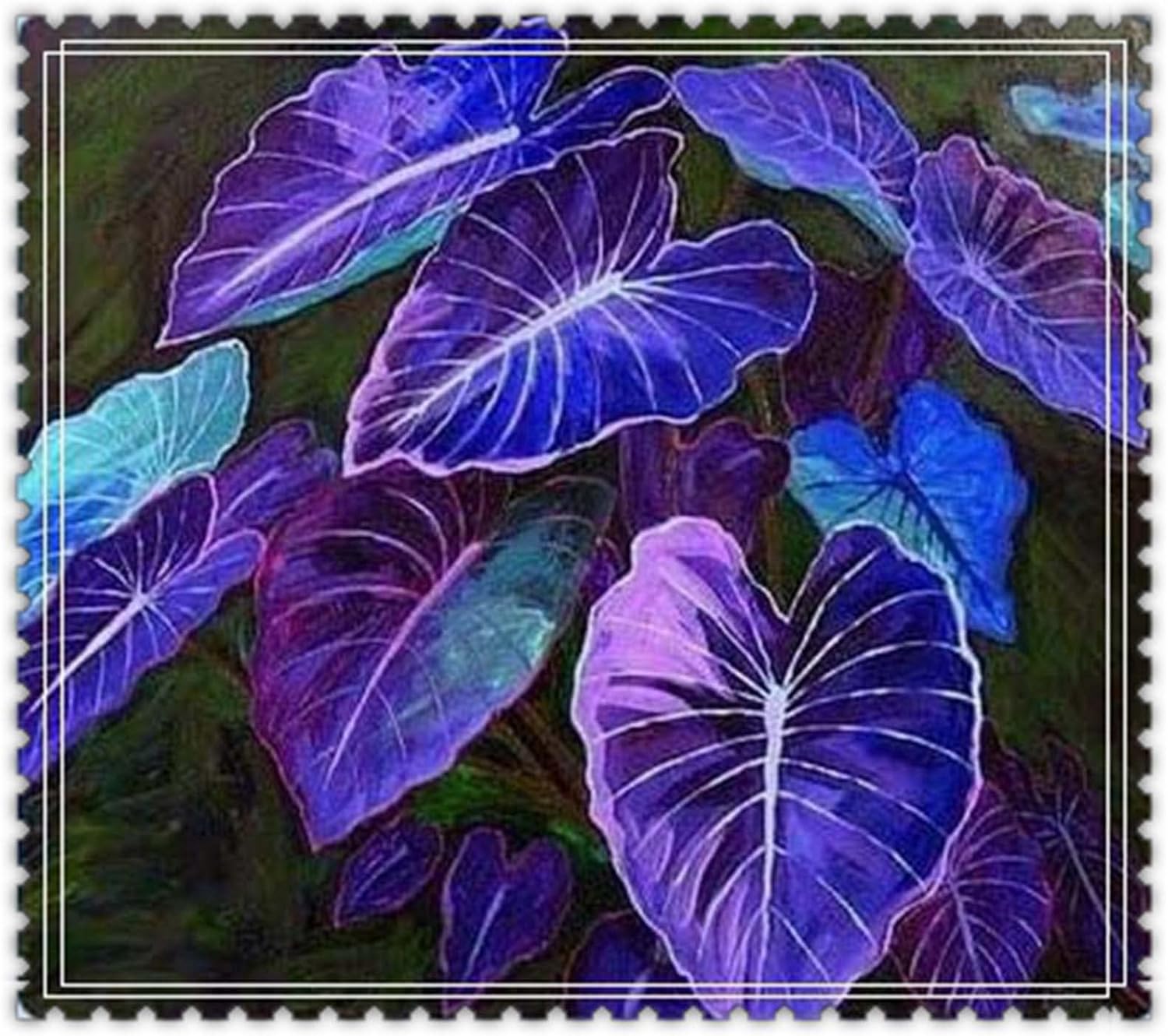 Caladium Bulbs, Fancy Mix, Easy Grow, Elephant Ear Bulb