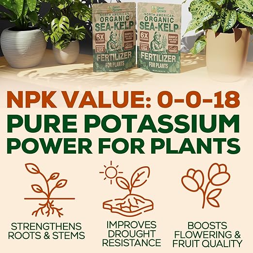 Fertilizante Orgánico de Algas Marinas - 2 oz - para Plantas miniatura 7