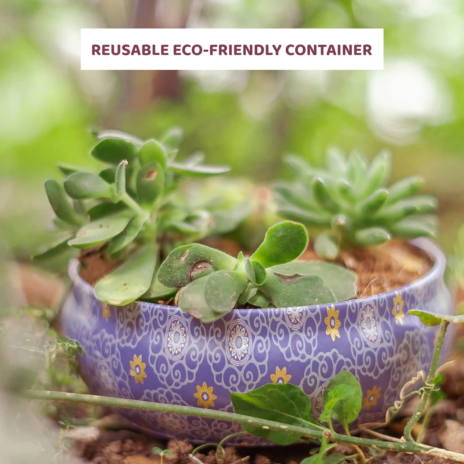 Bryan & Candy Scented Candles Gift Set for Women & Men, Neroli & Honeycomb | Lavender & Chamomile,100 Gm Each Soy Wax Eco Friendly Printed Tin (Neroli & Honeycomb, Lavender & Chamomile Pack of 2)