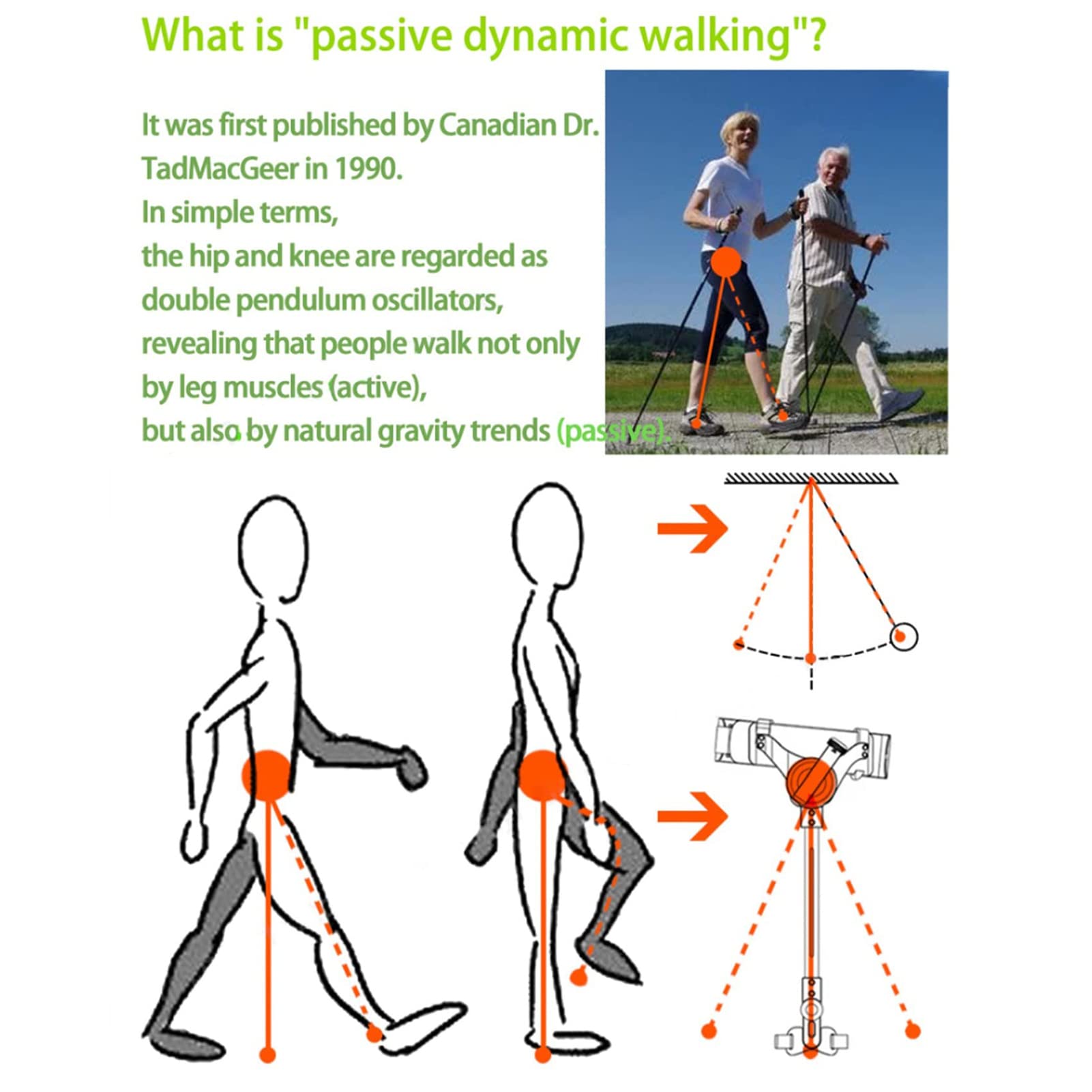 Proste narzędzia do chodzenia, Bionic Body Power Leg Walking Training Mobility Pomoce do biegania Mobilność Pomoce do chodzenia dla dorosłych (rozmiar: po lewej)