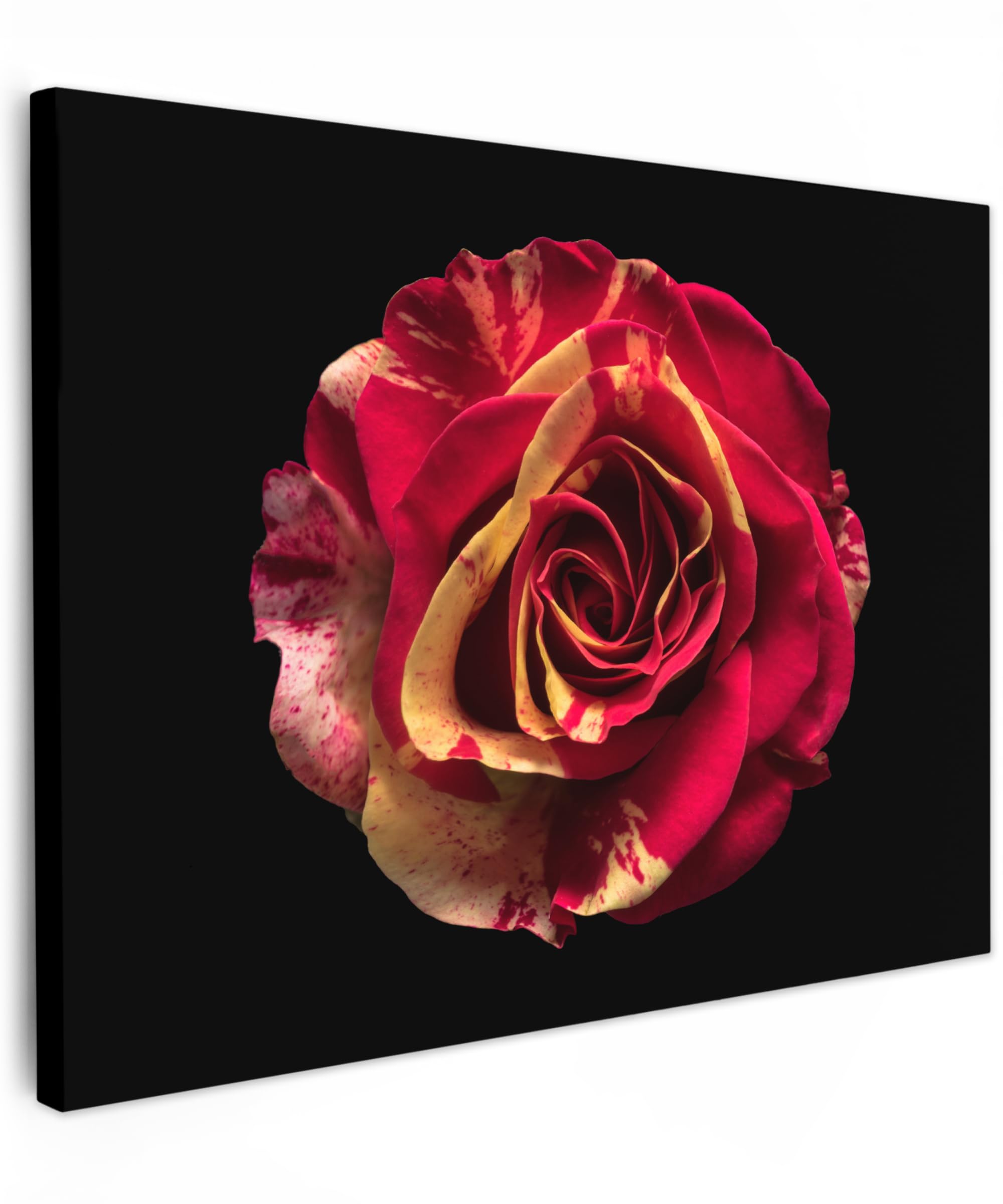 MuchoWow© Canvas Wall Art 31"x24" / 80x60 cm Decor Hanging Pictures for Living Room Canvus Artwork Deco Walls Flower - Rose - Red - Black — image 1