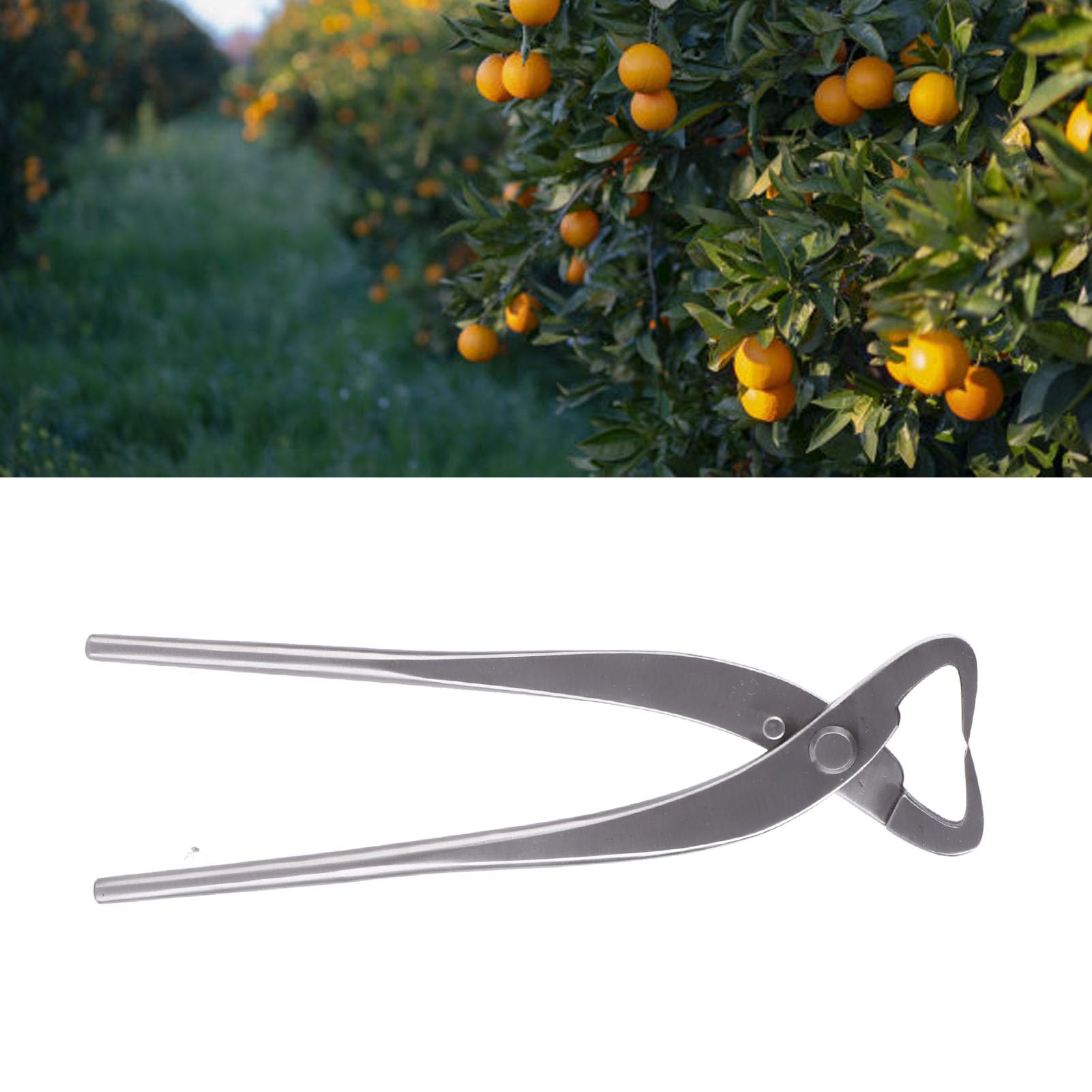 Yctze Trunk Splitter Bonsai Branch Cutter - Strumento in Lega Cromata da 20 Cm per Potatura e Modellazione - Manico Ergonomico per Un Uso Comodo