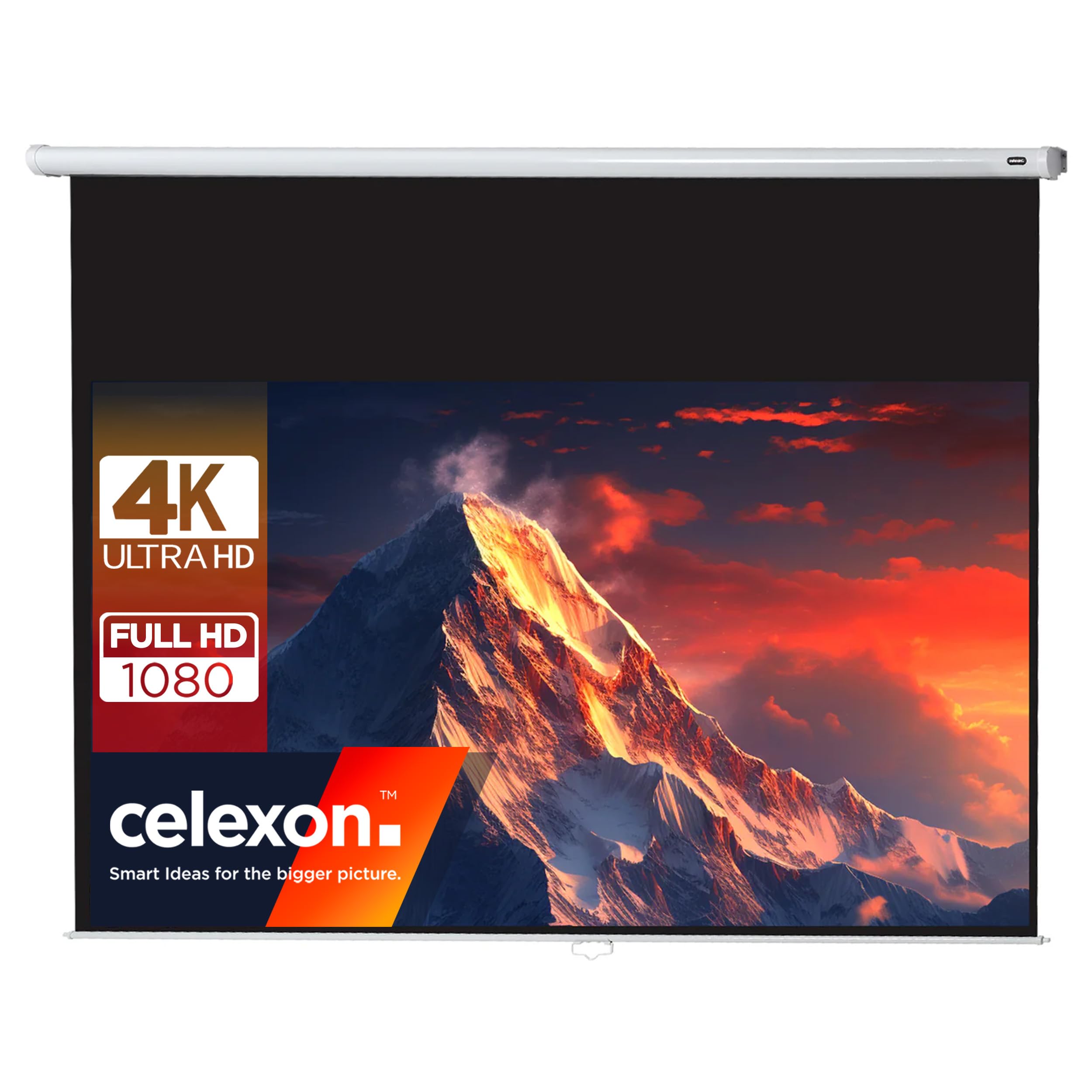 celexon Manually Extendable Screen for Home Cinema and Business 4K and Full-HD Rollable -Economy Display - 220 x 124 cm - 100" - 16:9