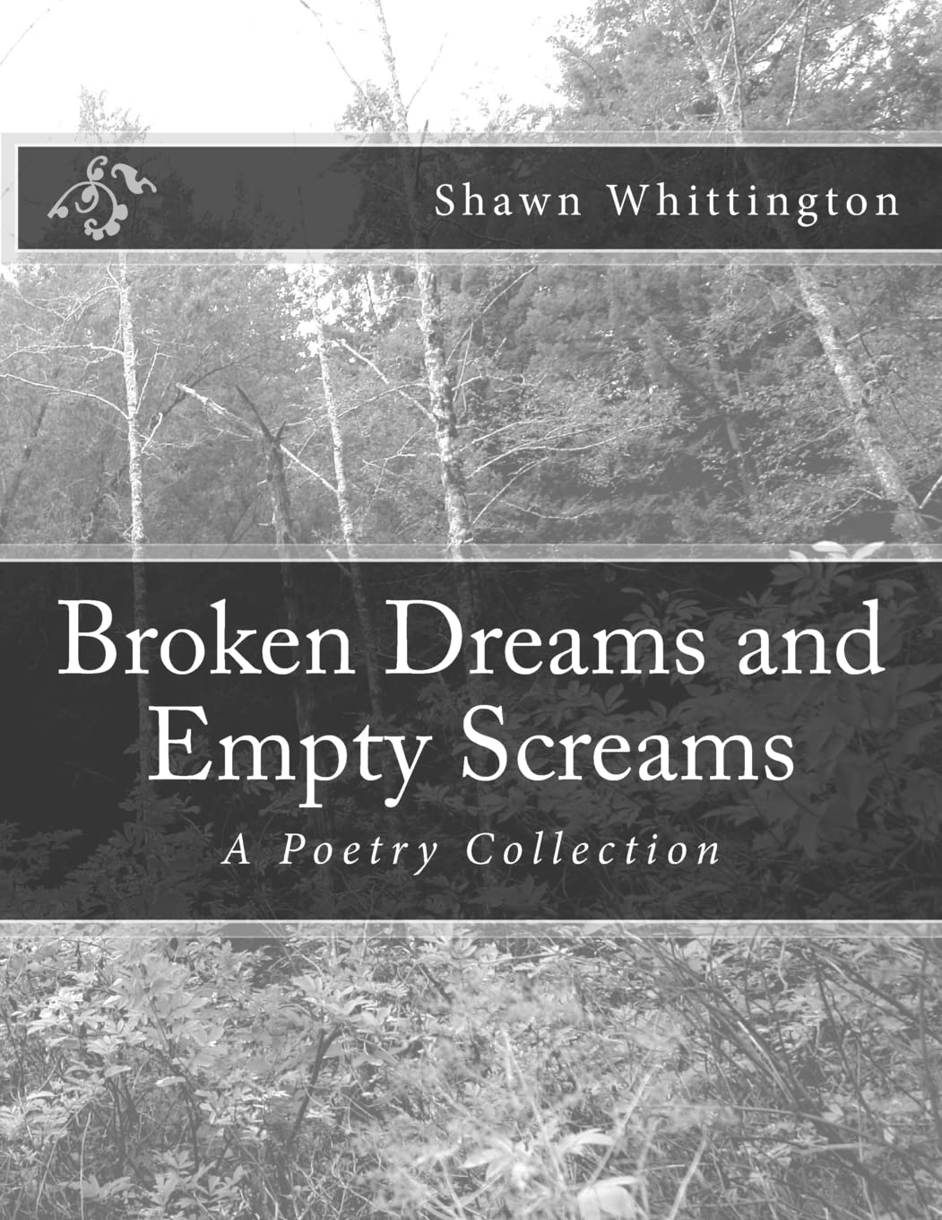 Broken Dreams and Empty Screams: A Poetry Collection