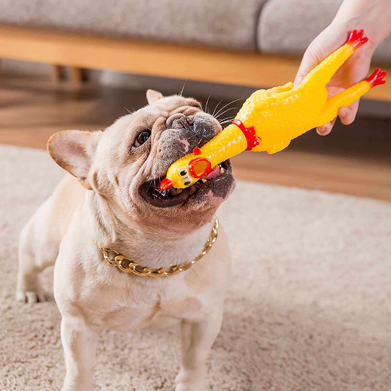 Amazon.co.jp: シャウティングチキン 約17㎝ びっくりチキン