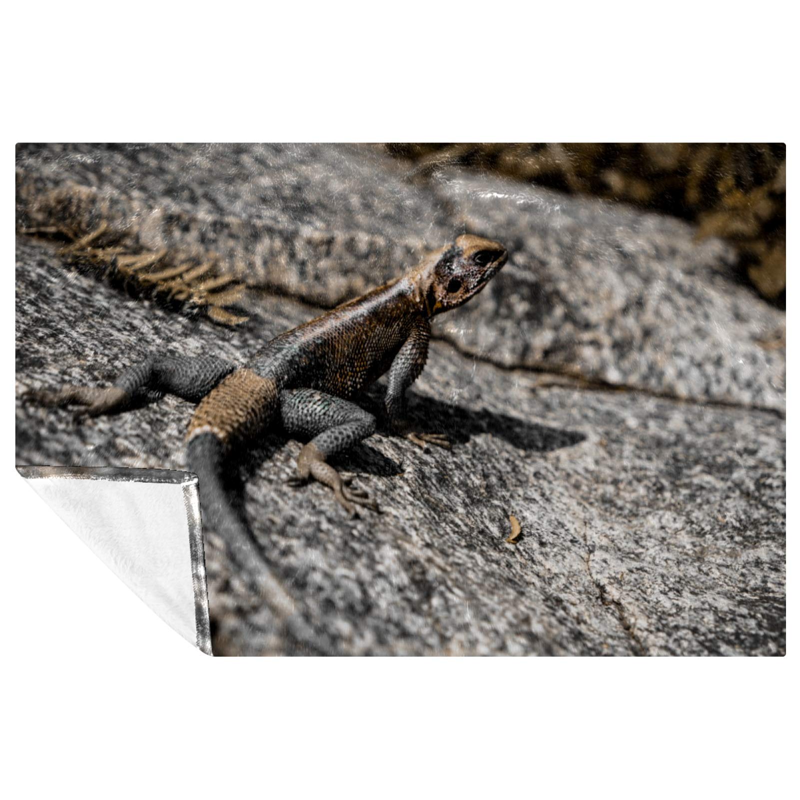 Couverture douce lézard plaid de pique-nique et camping 150x100cm