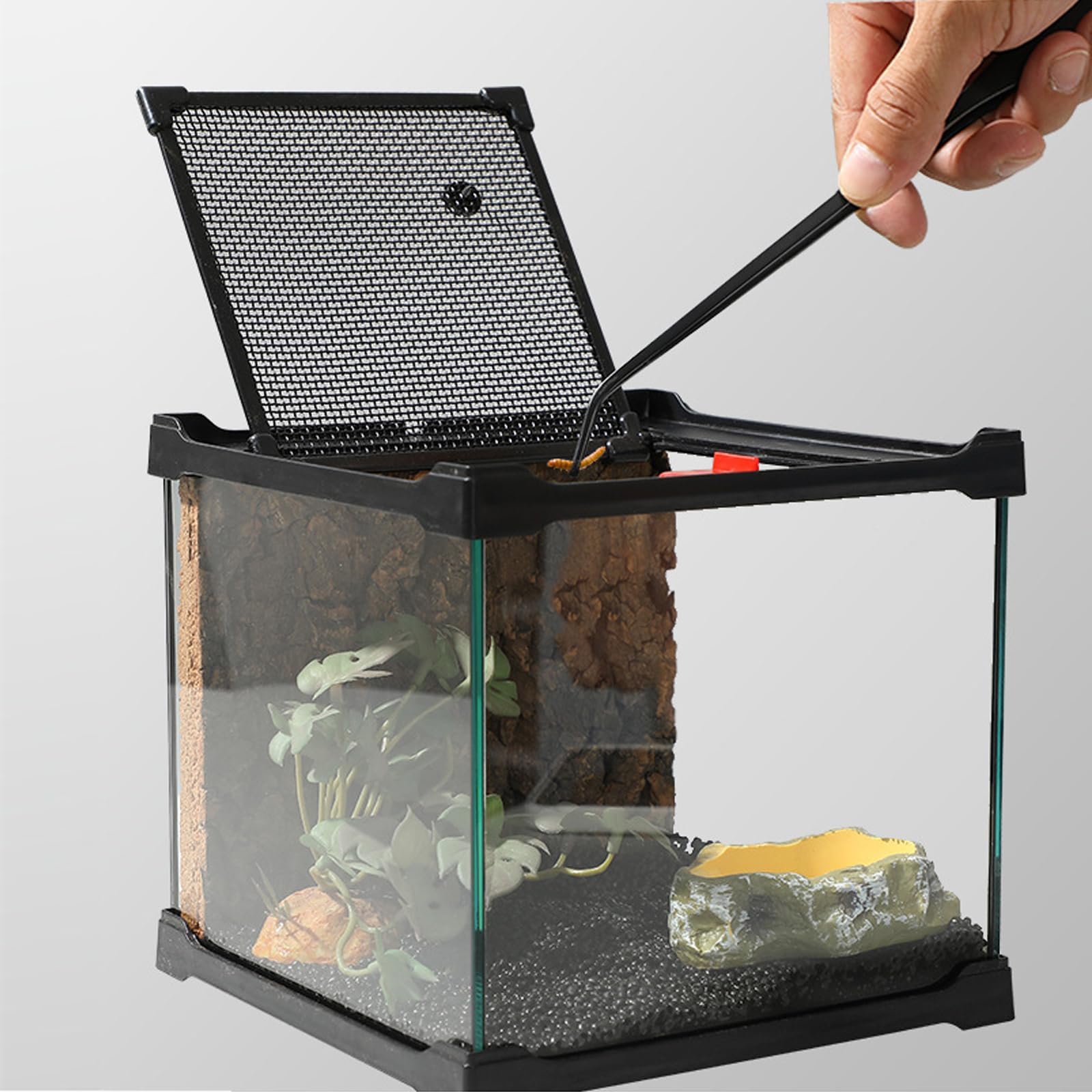 Terrarium Rettile - Scatola di alimentazione 20 x 20 x 17 cm, in vetro per rettili e piante con copertura di ventilazione