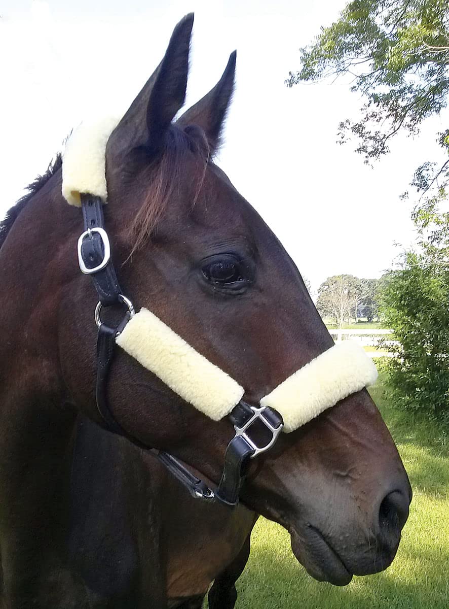 Jeffers Equine Horse Fleece Halter Tube Set – 4 Piece Soft Padded Nose Guard Cover for Halters, Cushioned Comfort Wraps for Horses, Cob, Draft, Tack Accessories, Training, Travel, Stable Use