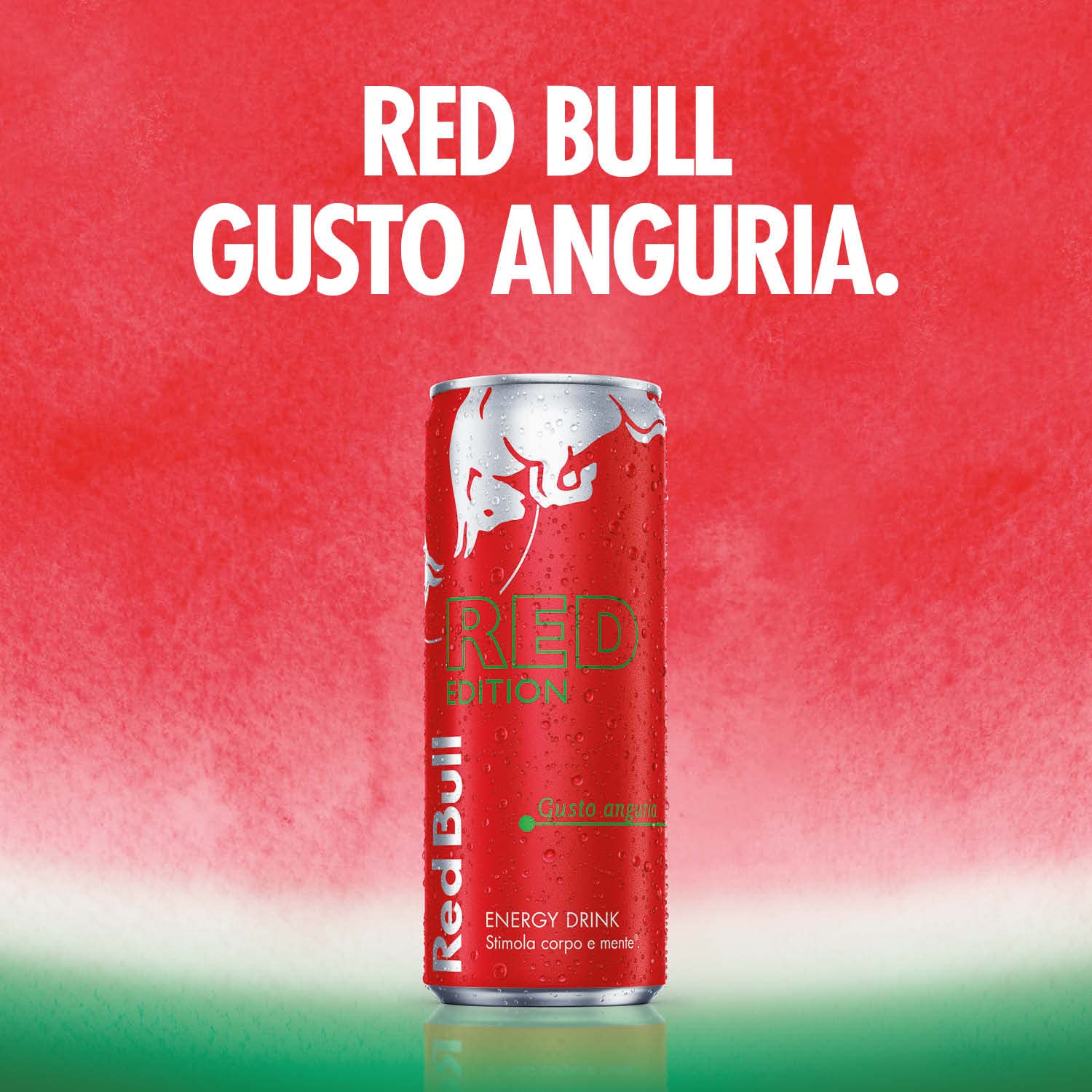 Red Bull Energy Drink, Gusto Anguria, 250 ml (24 Lattine)