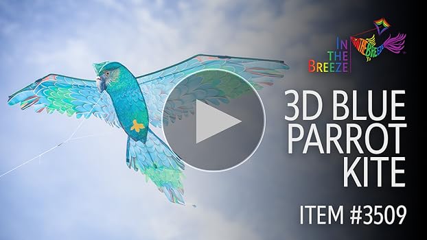 ハミングバード Amazon.com: In the Breeze 3509 — 3D Blue Parrot Kite