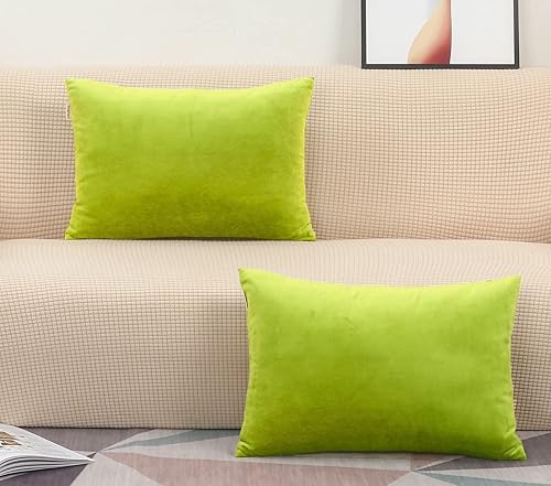 TangDepot Juego de 2 fundas de almohada de terciopelo súper suaves, fundas de almohada lumbares, fundas de almohada - (12 x 20 pulgadas, 2 piezas,