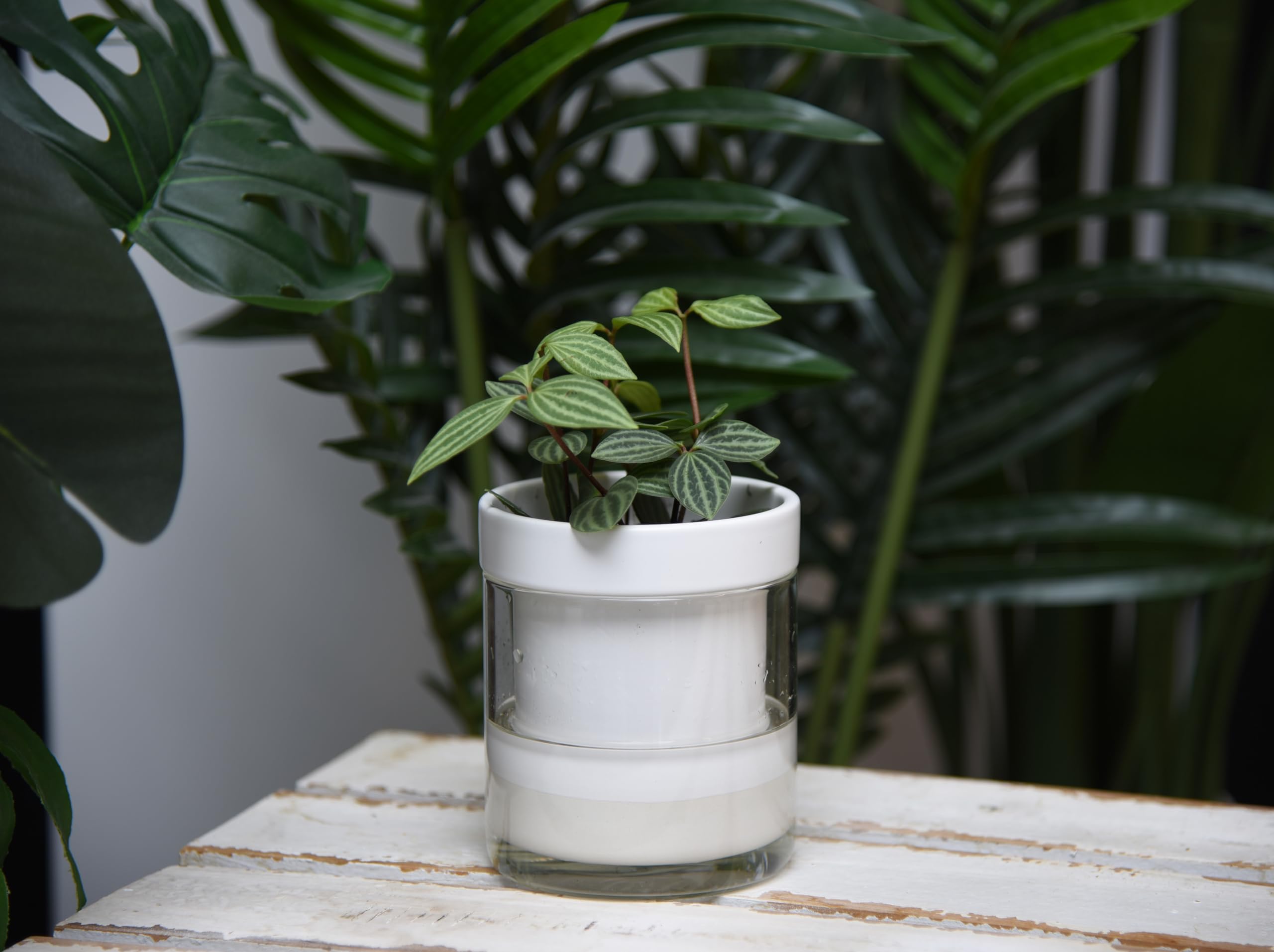 Phoenix Vine 10,2 cm selbstbewässernder Pflanztopf aus weißem Terrakotta-Ton, mit Glasspeicher für Zimmerpflanzen, Kräuter, Blumen, 4er-Set, 52-B-E-4