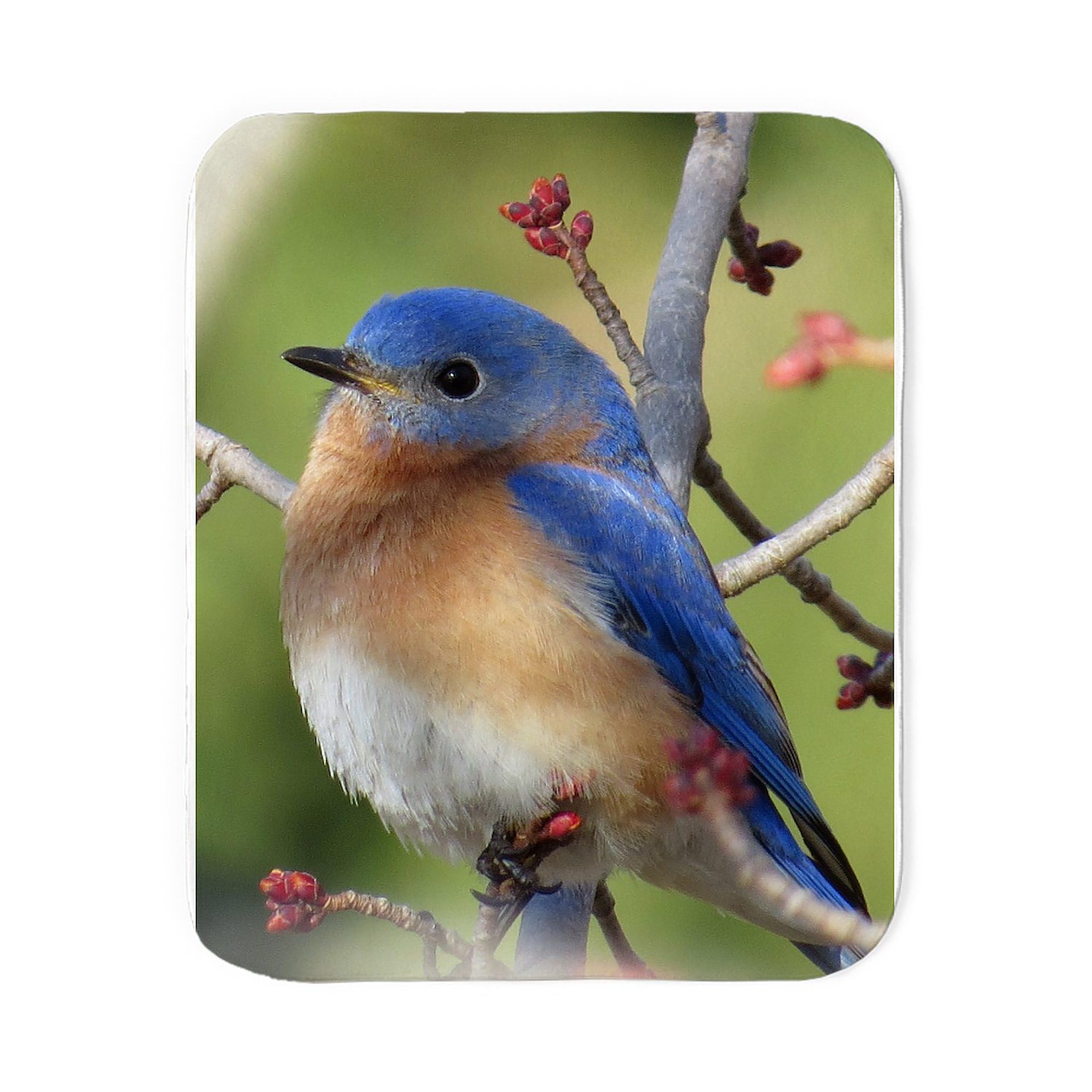 CafePressRed Bud Bluebird Sherpa Fleece Throw Blanket 60" L x 50" W