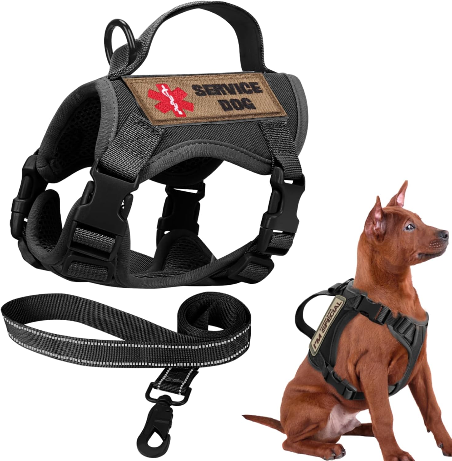 Tactical Dog Harness for Small Dogs, Military Puppy Vest Harness and Leash for Outdoor Training, Adjustable Service Dog Vest with Handle, 3 Patches