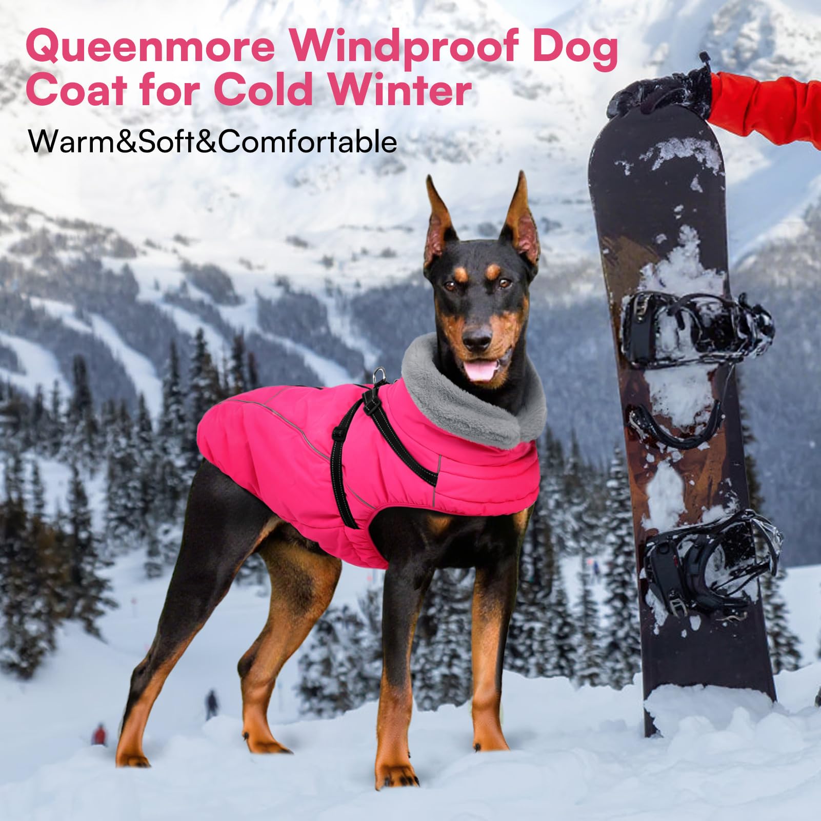 Queenmore Abrigo Perro Impermeable con Arnés | Abrigo Invernal con Forro Polar para Perros Grandes | para Clima Extremo Razas Gigantes(Rosa, 3XL)
