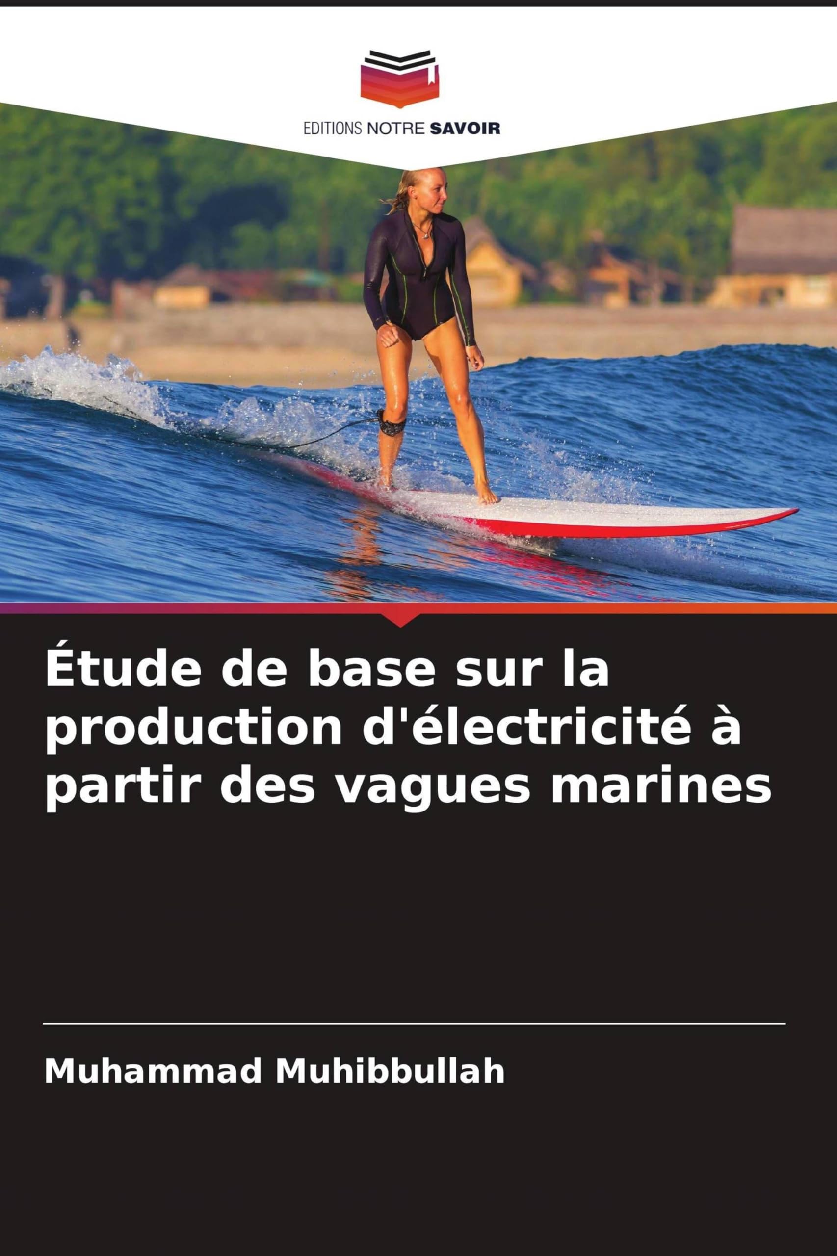 Étude de base sur la production d'électricité à partir des vagues marines
