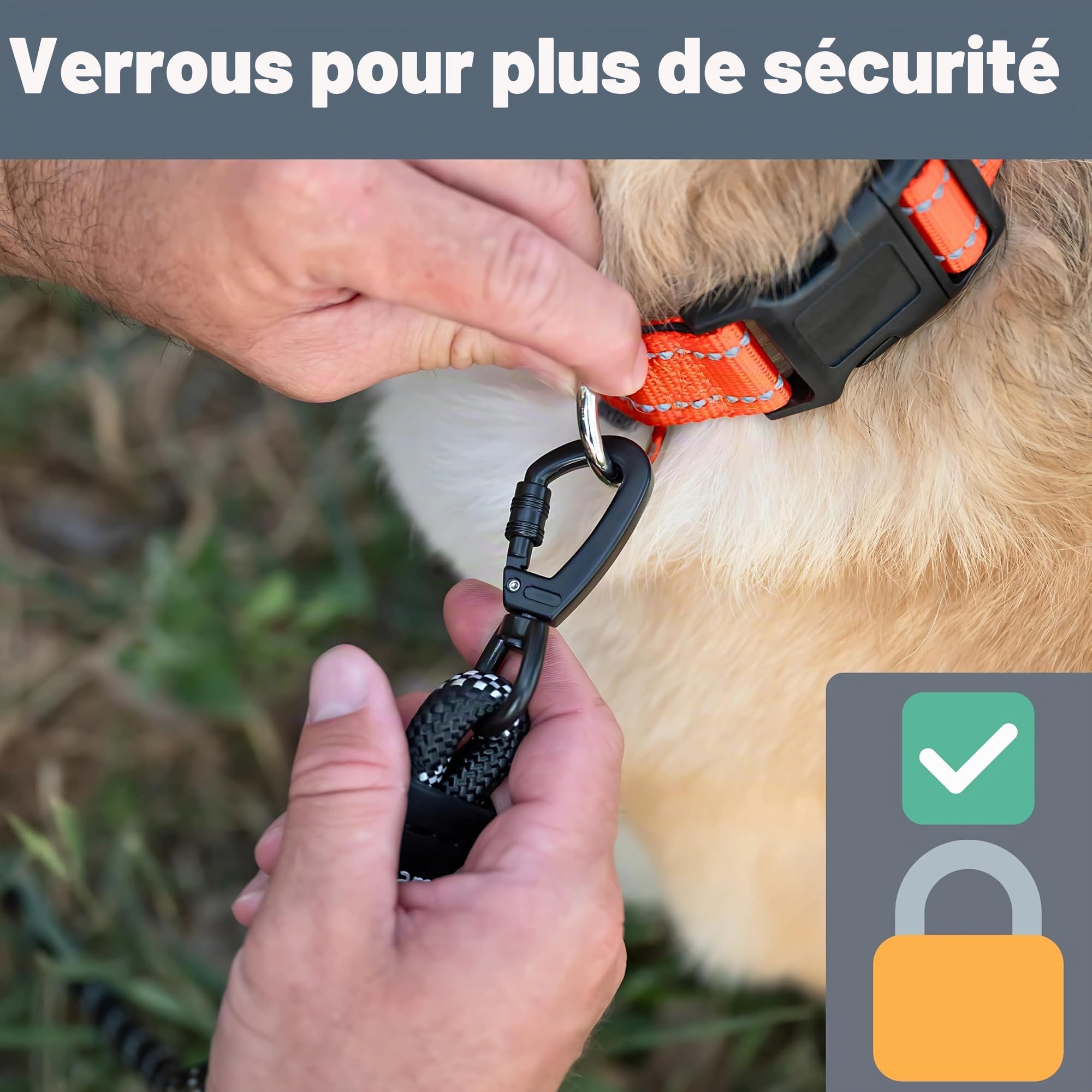 Laisse pour Chien de 1,8 m très résistante, Extra rembourrée, Deux poignées, Mousqueton en métal verrouillable, Pinces en Silicone Durable, Absorption des Chocs, Laisse réfléchissante