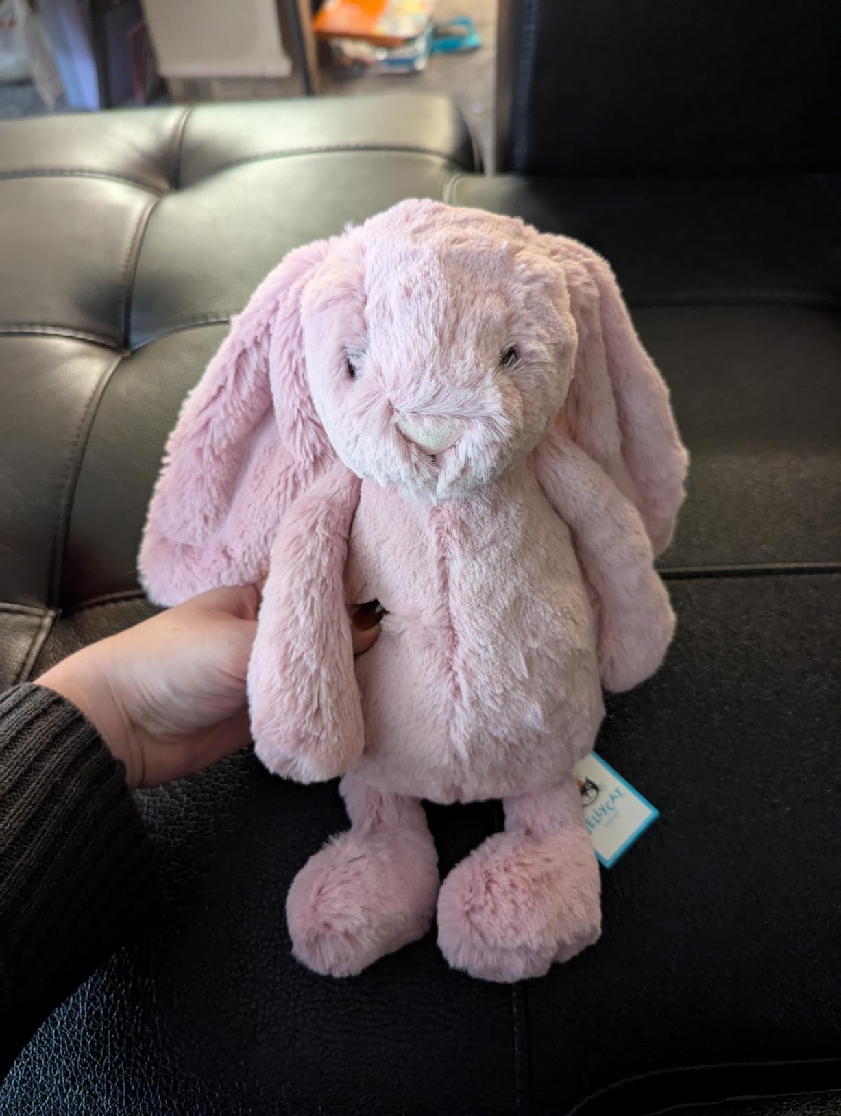 Jellycat Bashful Tulip Pink Bunny Stuffed Animal, Romania | Ubuy
