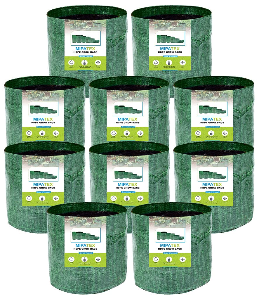 MIPATEX Terrace Gardening Plant Grow Bags for Leafy Vegetables 6in x 6in, Flower Growing Home Outdoor Planter Container Pots (Olive Green, Pack of 10) (B09FGQTW93) Amazon Price History, Amazon Price Tracker