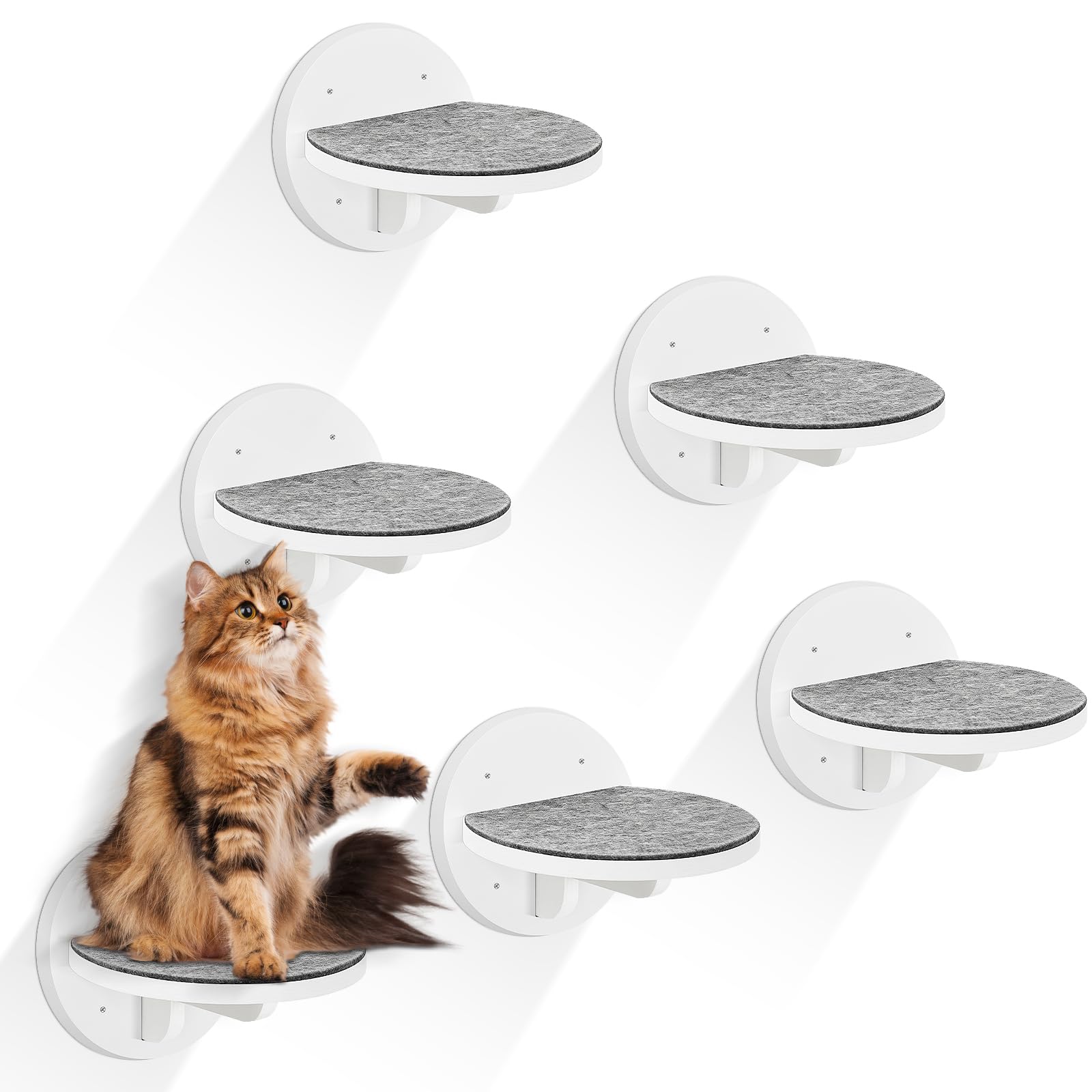 Cat Wall Shelves Furniture Set of 6, Wooden Cat Steps for with Scratching Pad, Sturdy Floating Climber Ladder Stairs, Cats Climbing Wall Systems for Cats Sleep Climb Play (White)