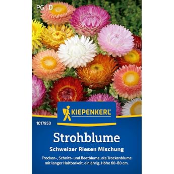 Kiepenkerl Straw Flower Seeds Swiss Giant Mix 1017950 - Annual Flower Seeds with a Growth Height of 60 to 80 cm and Content for 100 Plants - Seeds Rich mix for 100 plants ideal for dried bouquets colourful flowers sunny location easy sowing