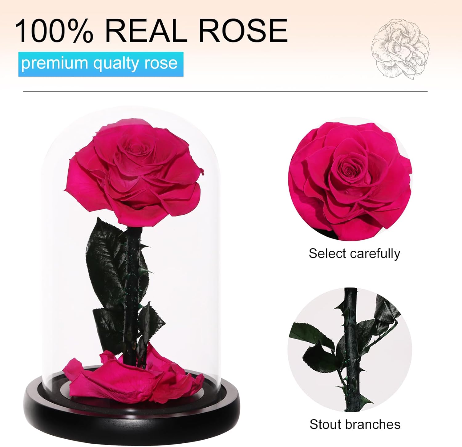 https://m.media-amazon.com/images/I/71A20NX0IQL._AC_SL1500_.jpg