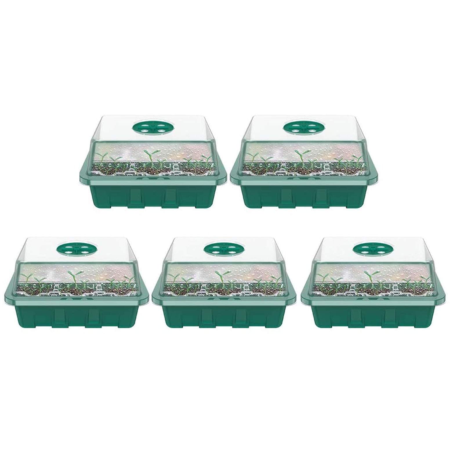 Buy 5Pack Seed Trays Seedling Starter Tray (12 Cells Per Tray) for