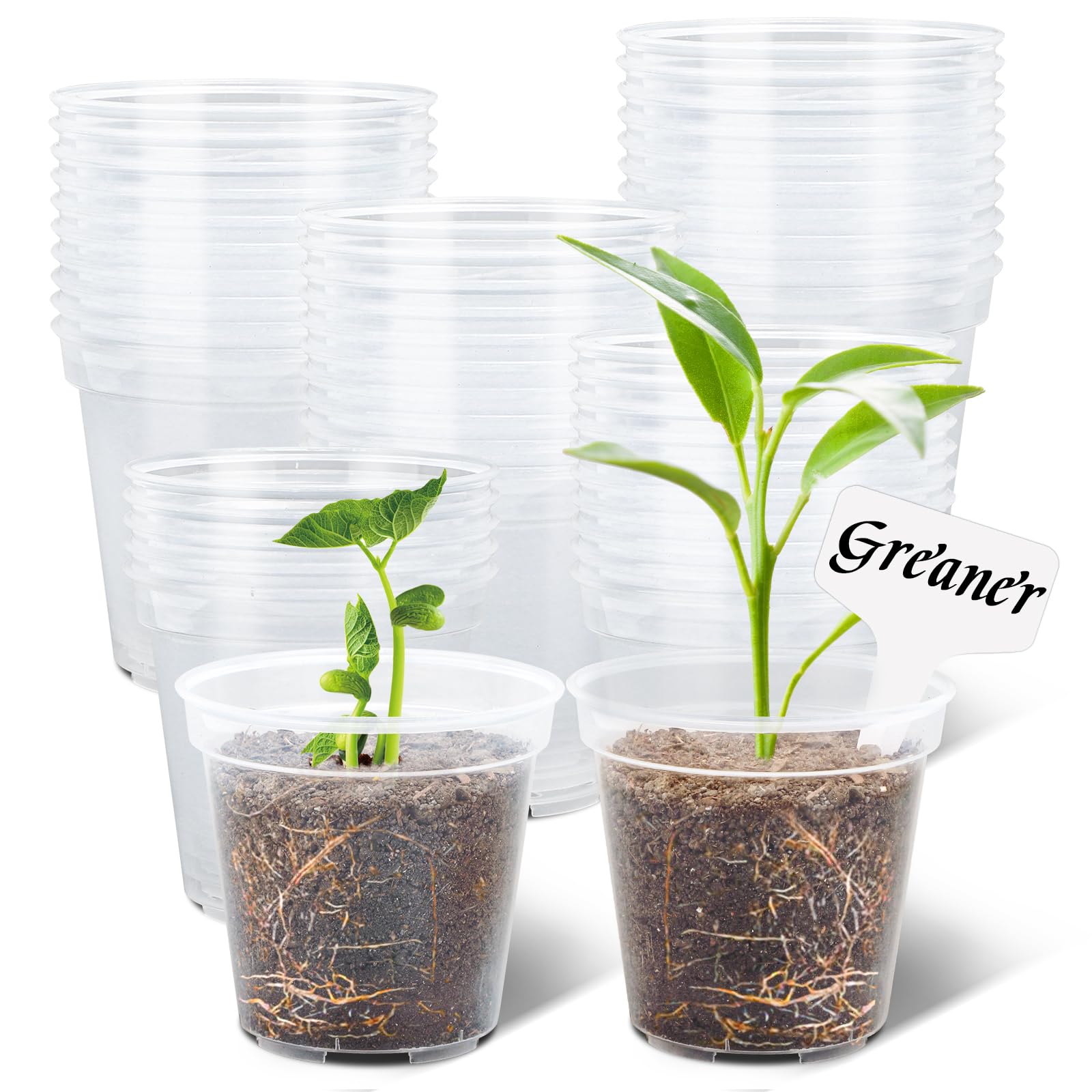 GREANER 60 Packs Reinforced Plastic Plant Pots, Transparent Nursery Pots with Drainage Holes for Plants, 4 Inch Clear Nursery for Orchid, Succulent, Vegetable, and Cactus — image 1