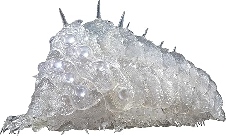 Amazon タケヤ式自在置物 風の谷のナウシカ 王蟲 クリア ノンスケール Abs Pvc製 塗装済み完成品 アクションフィギュア フィギュア ドール 通販