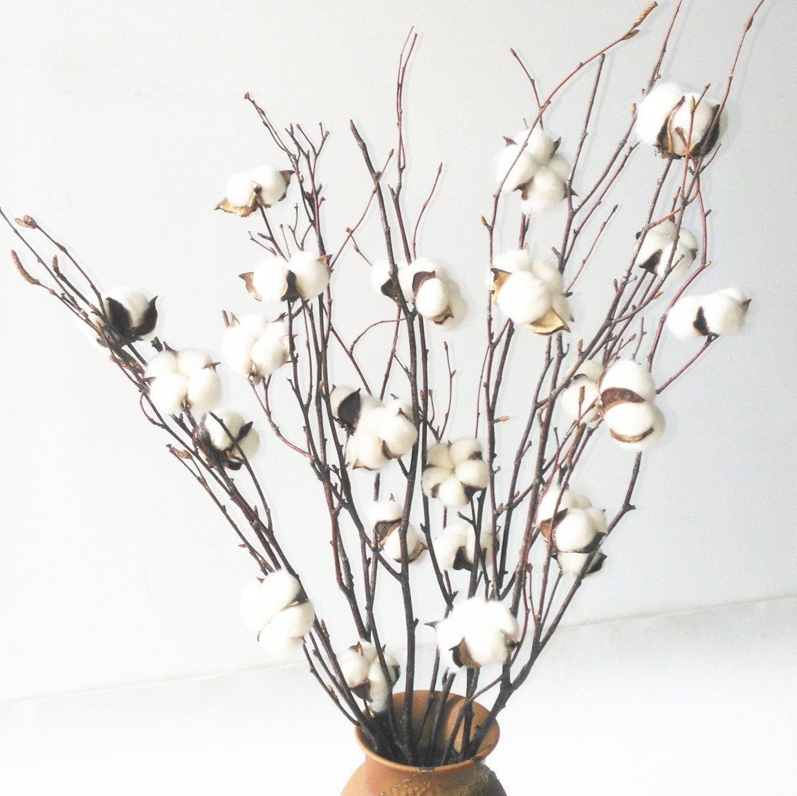 5 Bunches Cotton Stems, Natural Cotton Flowers Dried Cotton Picks, Real Birch Branch 20-22 inches with Cotton Balls Farmhouse Display Filler, Fall Wedding Home Decoration