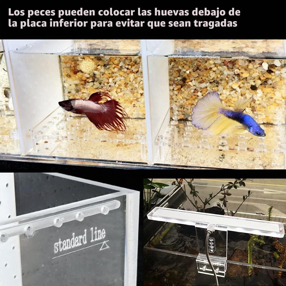 Betta Fish Tank Aquarium Material acrílico Mini pecera de Escritorio Kit de Cuencos con Bomba de Agua y Luces LED Autocirculación Tanque ecológico Sala de Aislamiento de Peces Enfermos (4 Rejillas)