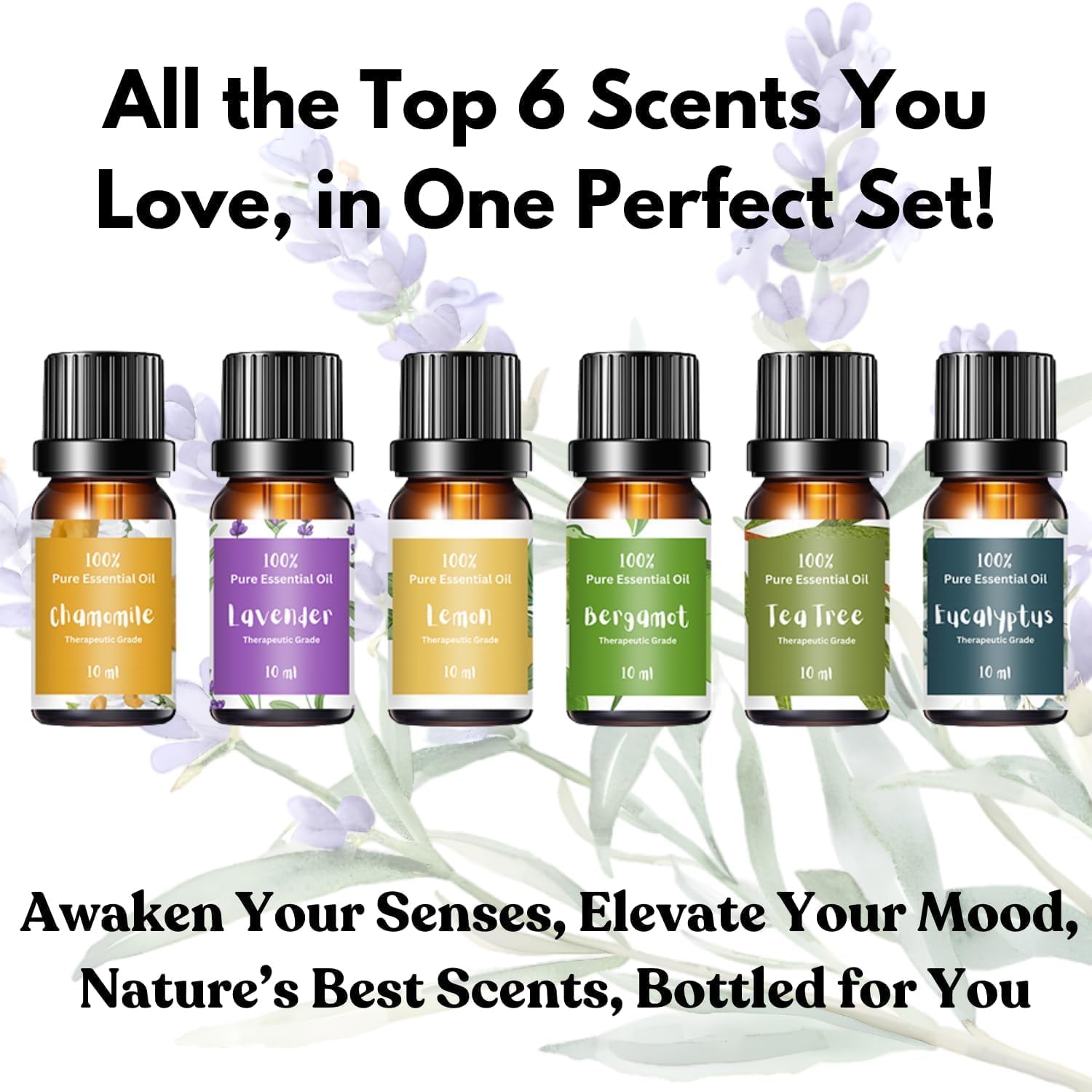 Essential Oils for Laundry + White Wool Dryer Ball Set, 4 White Dryer Balls & Essential Oil Set Bundle, 6 Most Popular Pure Therapeutic Grade Oil Set, and Organic Wool Dryer Ball Set