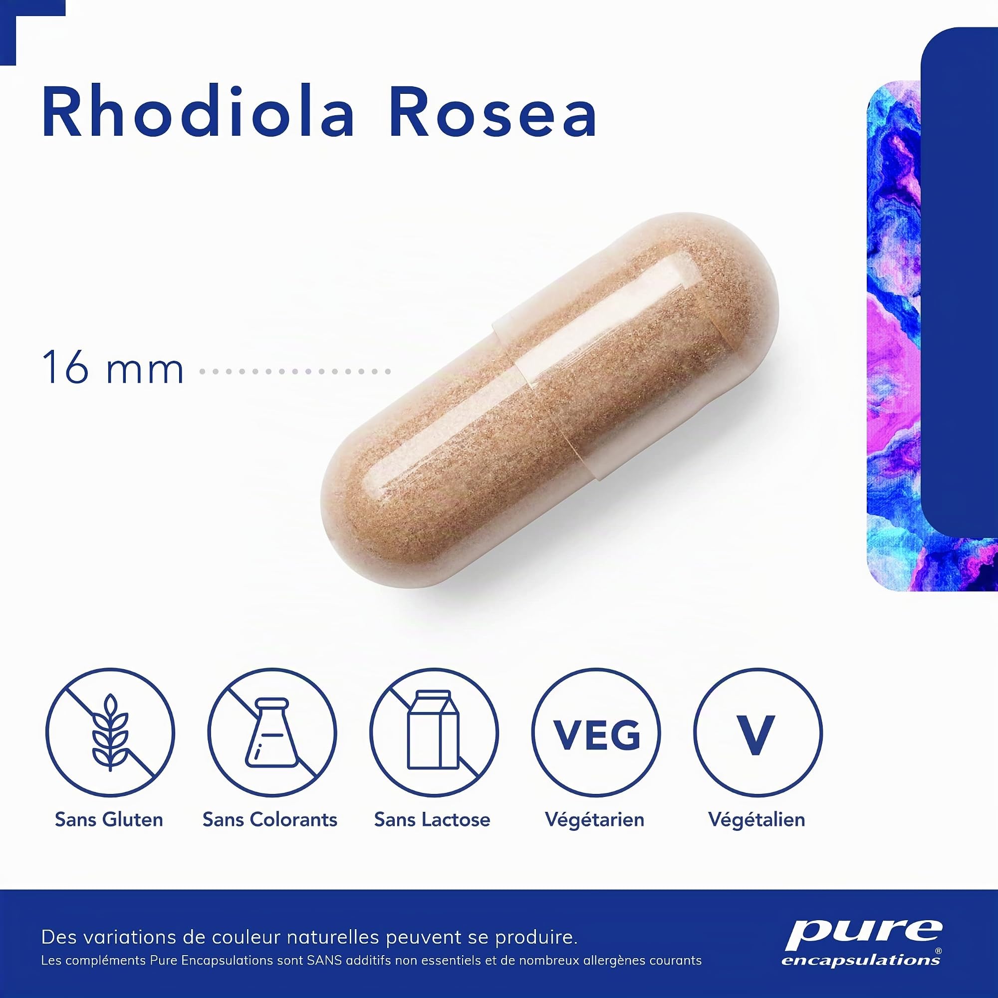 Pure Encapsulations - Rhodiola Rosea - Plante Adaptogene contre le Stress et la Fatigue Mentale - 60 Capsule | Plante Adaptogène, Stress et Fatigue Mentale, 100 mg d'Extrait de Racine de Rhodiola, Haute Qualité, Complément Alimentaire