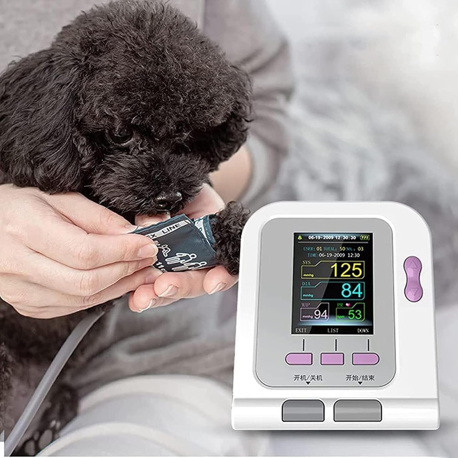 Digitales Elektronisches Blutdruckmessgerät Für Hunde Und Katzen Mit 3 Manschetten, 2,8-Zoll-LCD-Bildschirm Und 100 Speicherplätzen Für Messwerte, Für Hunde, Katzen Und Andere Haustiere