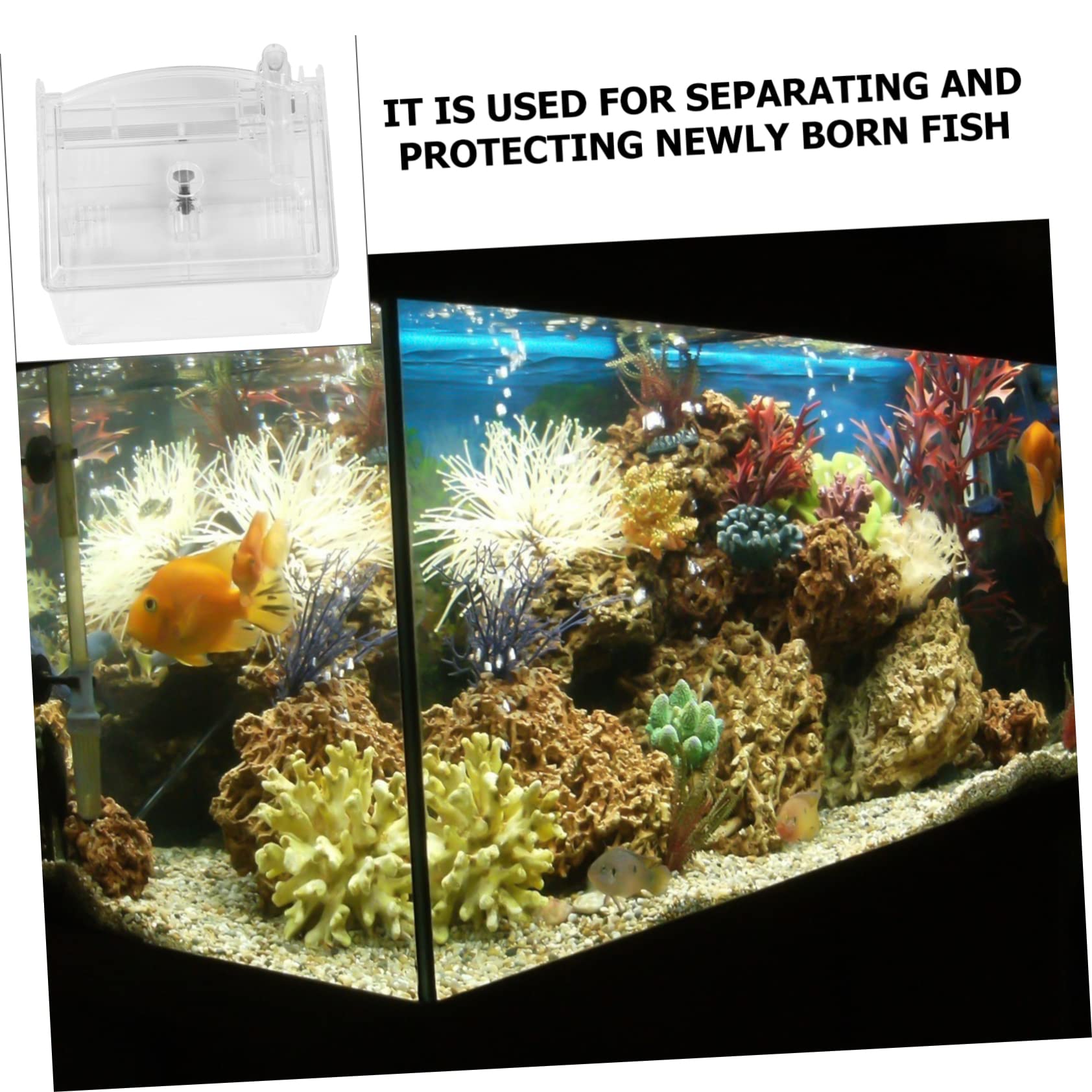 1 Pieza Caja de Cría para Peces con Ventosas Incubadora Aislante de Acuario Accesorio de Acuario para Guppys y Cría de Peces Diseño Neumático para Oxigenación