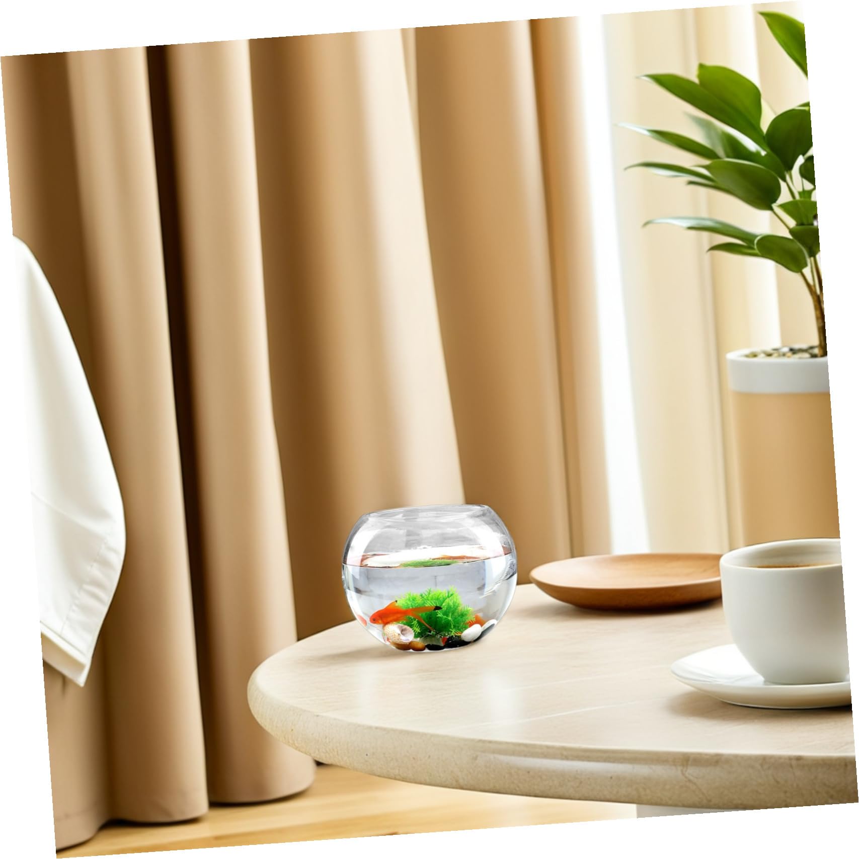 Kisangel 2piezas Pecera De Suculentas Terrario Hidropónico Estación De Propagación para Plantas Contenedor De Musgo para Decoración De Salón y Jardín