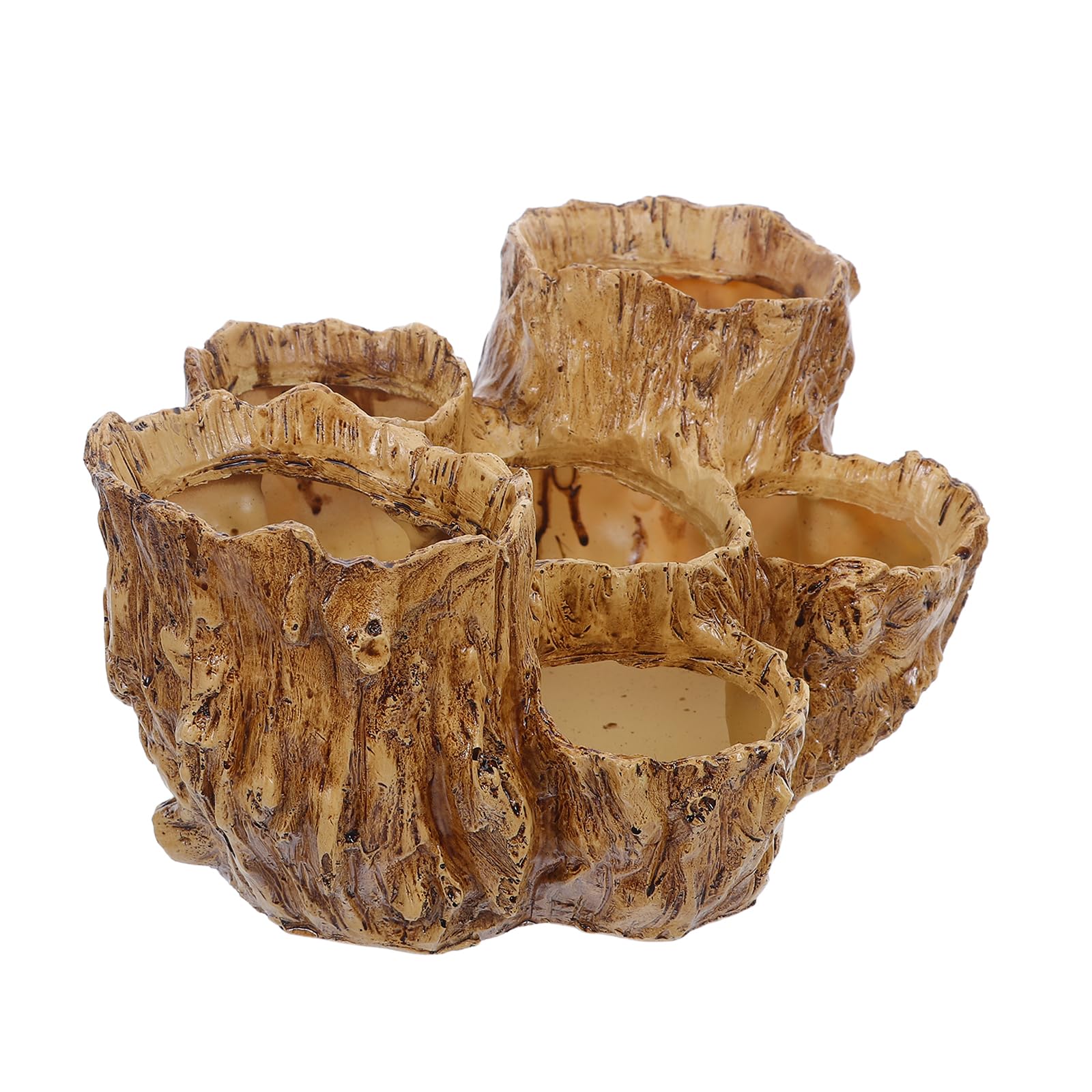 Jardinière pour plantes grasses d'intérieur résine beige six trous vintage
