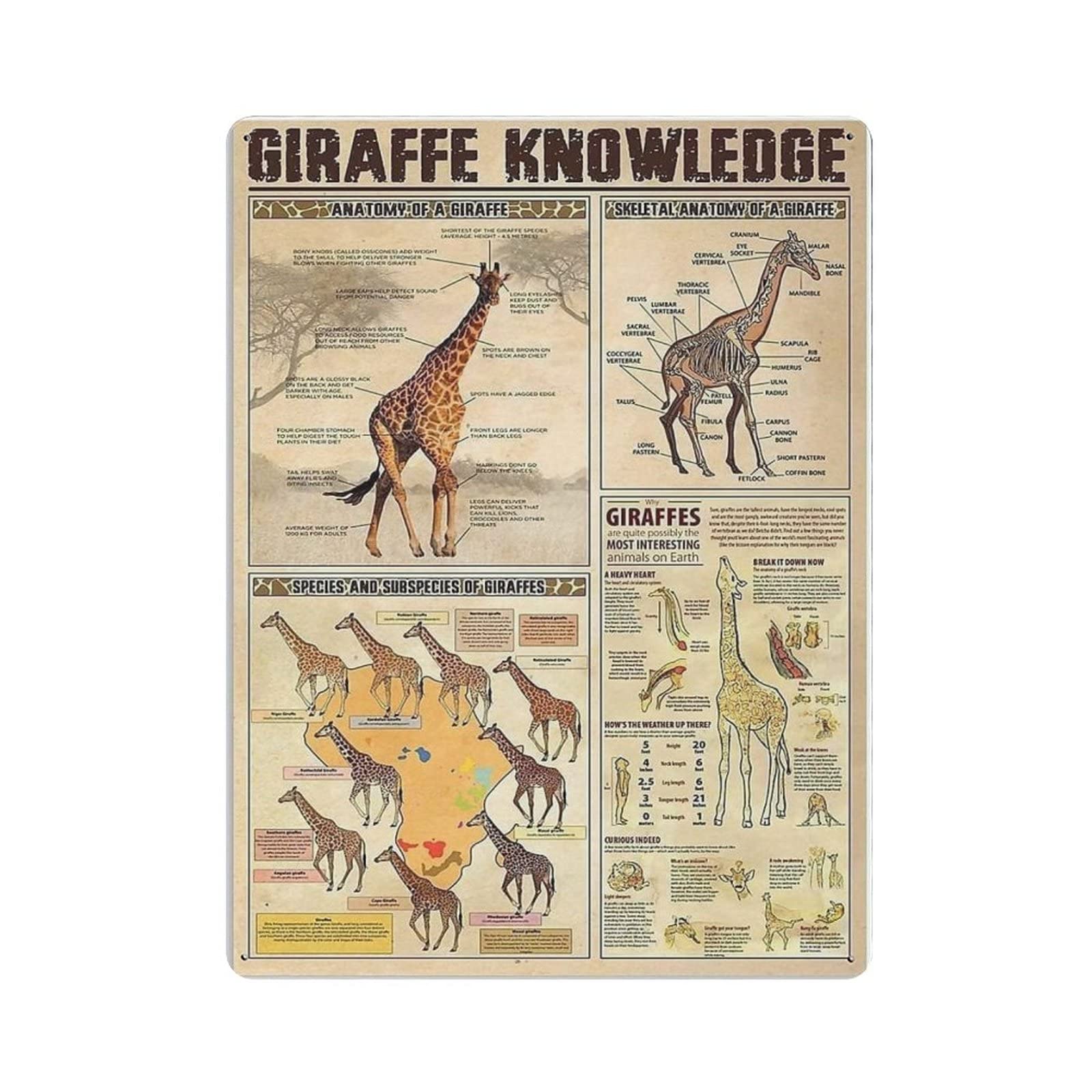 rayprint Giraffe Knowledge Metal Sign Poster Metal Tin Sign Art Wall Plaque Decor Vintage Retro Sign Iron Painting Aluminum Sign for Home Decor Bar Shop Men Cave Outdoor Garage Indoor 16"x12"