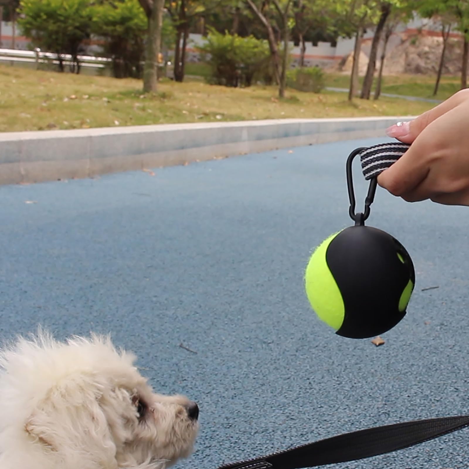 Porte-boule portable pour chien avec laisse Support de balle de tennis pour extérieur