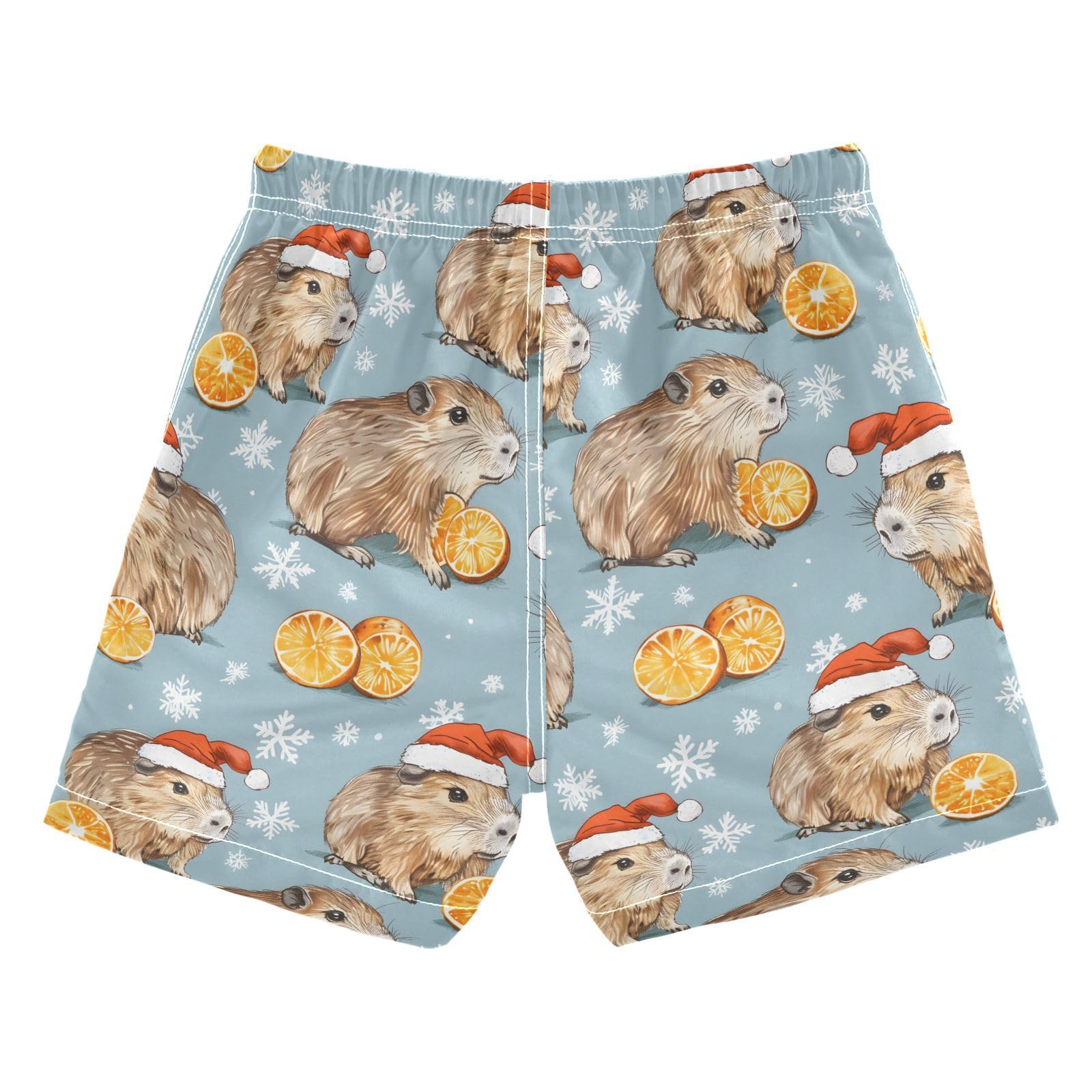 ALAZA Capybaras Lemon Snowflake Boys Quick Dry Beach Board Shorts Kids Swim Trunks Bathing Suit Swimsuit 2T