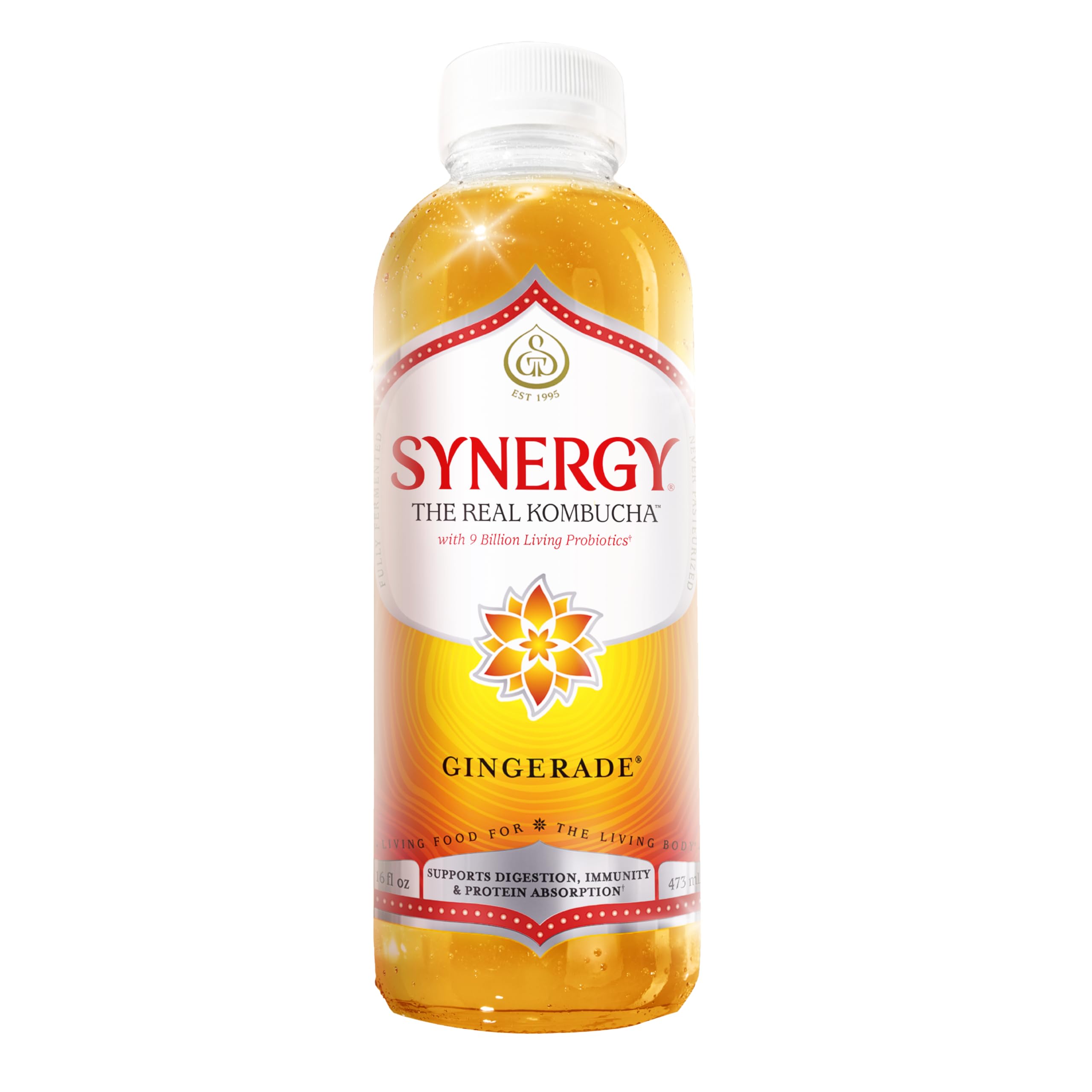 Amazon.com: SYNERGY The Real Kombucha - Gingerade - 16 fl oz