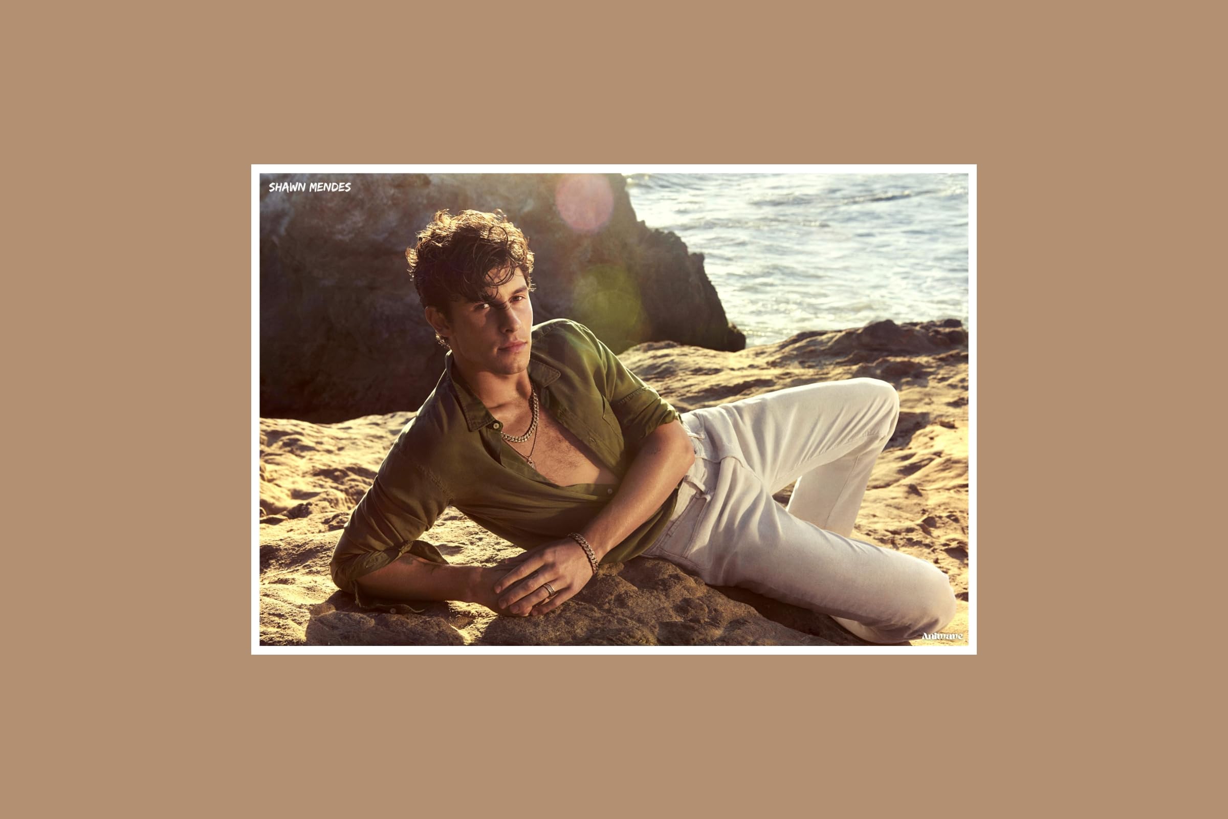 Aniwave: Canadian singer-songwriter Shawn Mendes 300 gsm Standard Poster 01