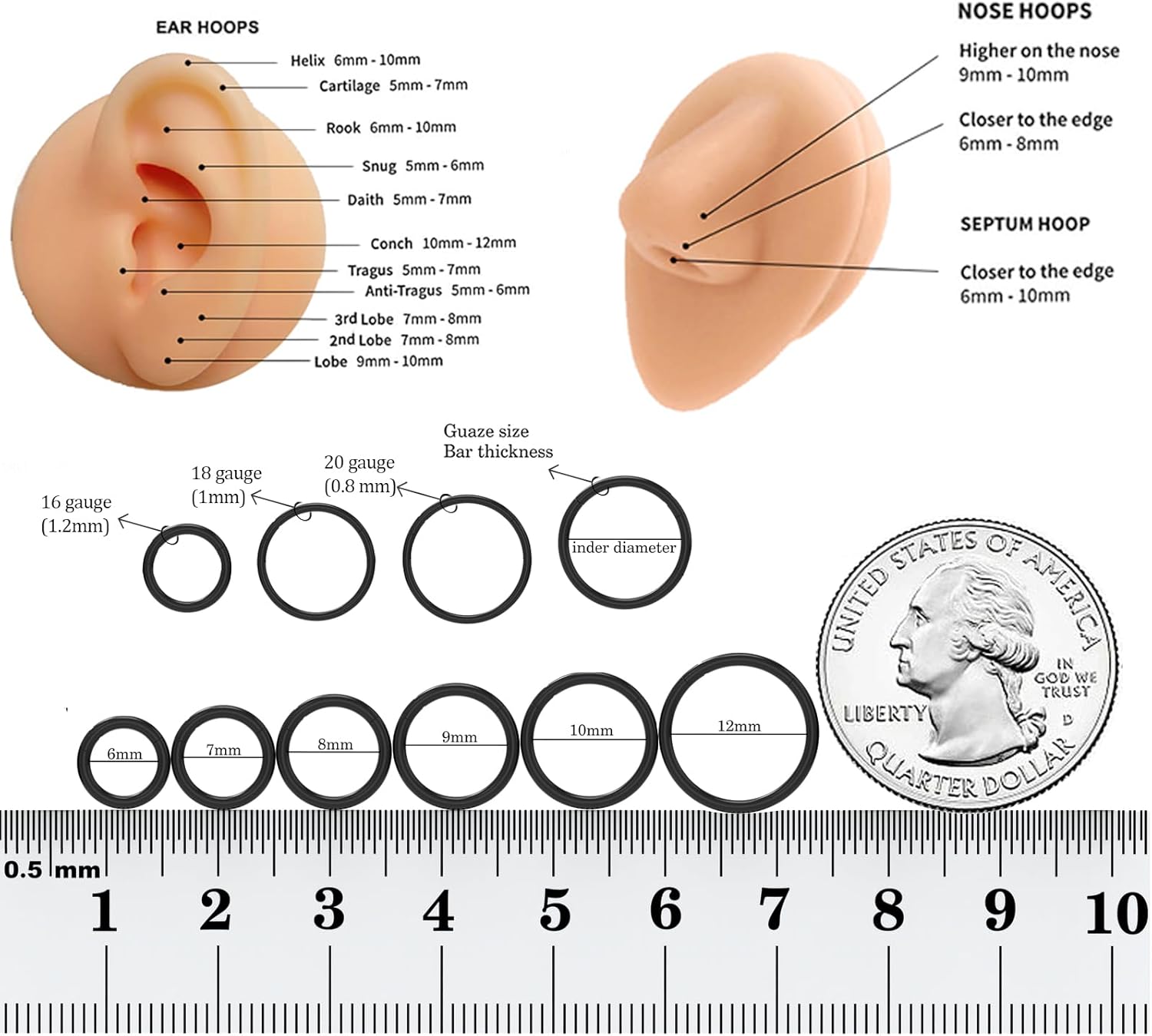 Titanium Hoop Nose Ring 12G Seamless Hinged Septum Rings 10mm Conch Piercing Jewelry Black Segment Clicker Lip Rings Cartilage Earring Helix Rook Tragus - Image 5